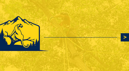 A man is cutting a tree with a chainsaw.