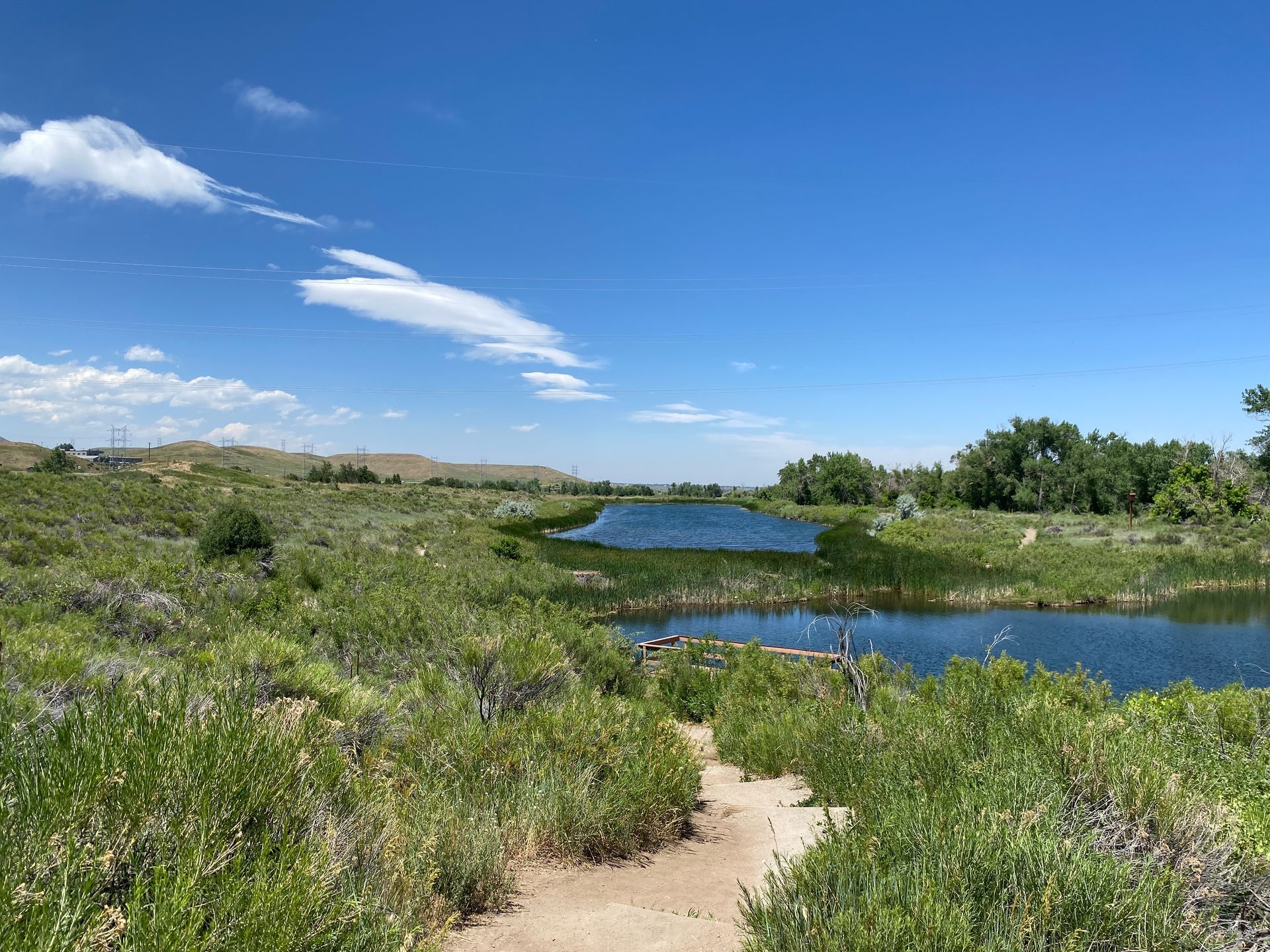 Sandy path through green brush leads to calm blue water under a bright, sunny sky.