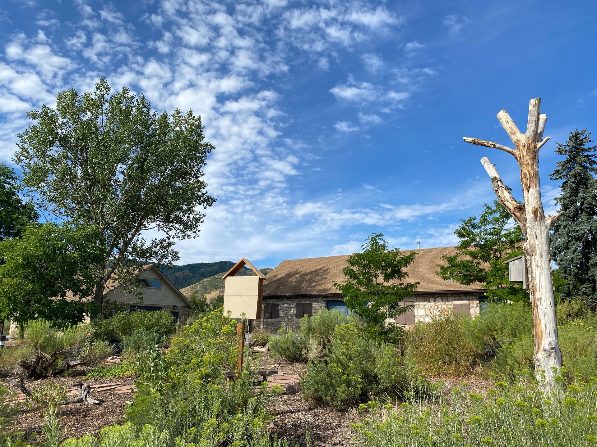 A sunny day at a garden, with a birdhouse in front of a building with a brown roof and blue sky.