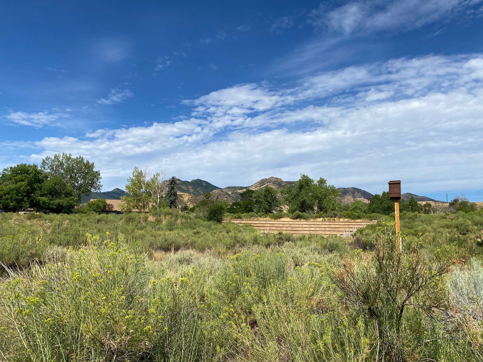Open field with green bushes, trees, and a wooden box against a mountain backdrop under a blue sky.