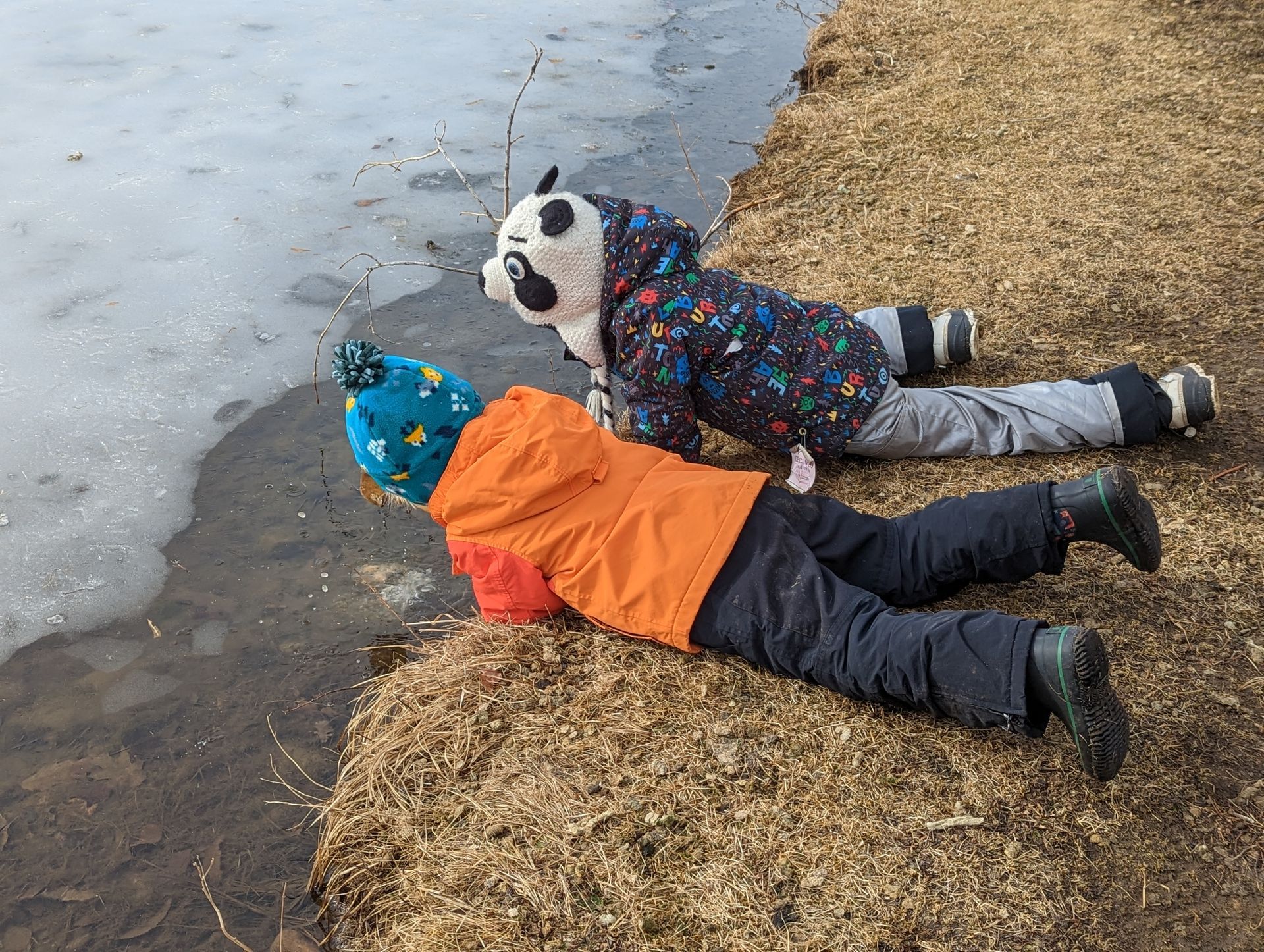 Two young children wearing colorful winter jackets, hats, and snow pants lie on their stomachs at the edge of a partially frozen pond. They are peering closely at the icy water, exploring the transition between ice and liquid. The ground around them is brown and dry, showing signs of late winter.