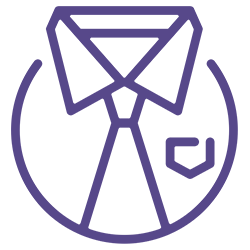 Icona - Professionalità