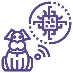 Icona - Microchip per Animali