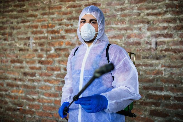 Pest Control | Las Vegas, NV | Swat Bug Killers