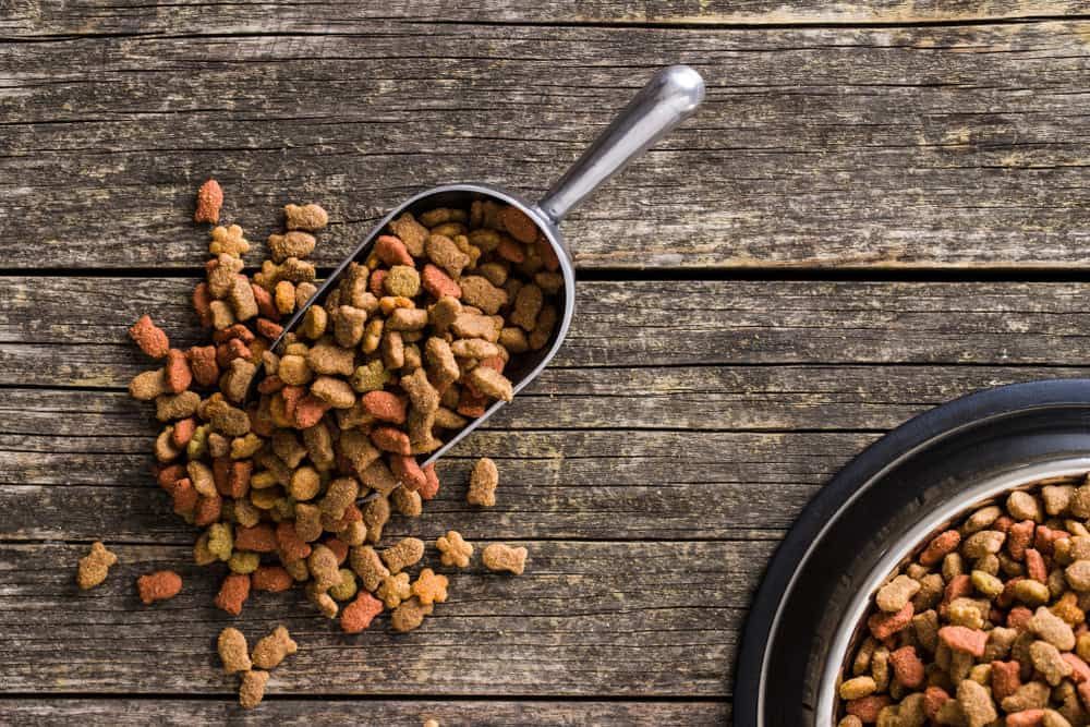 A Bowl Of Dog Food And A Scoop Of Dog Food On A Wooden Table — Diamond Beach Veterinary Clinic In Diamond Beach, NSW