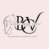 Vet Diamond Beach Barrington Coast Vets