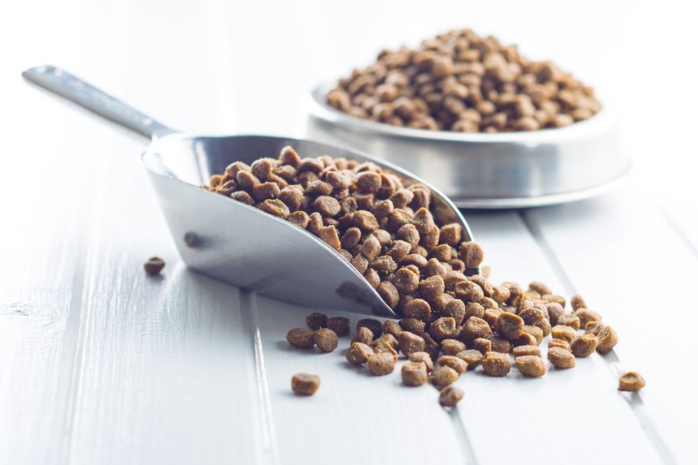 A Bowl Of Dog Food And A Scoop Of Dog Food On A Table — Diamond Beach Veterinary Clinic In Diamond Beach, NSW
