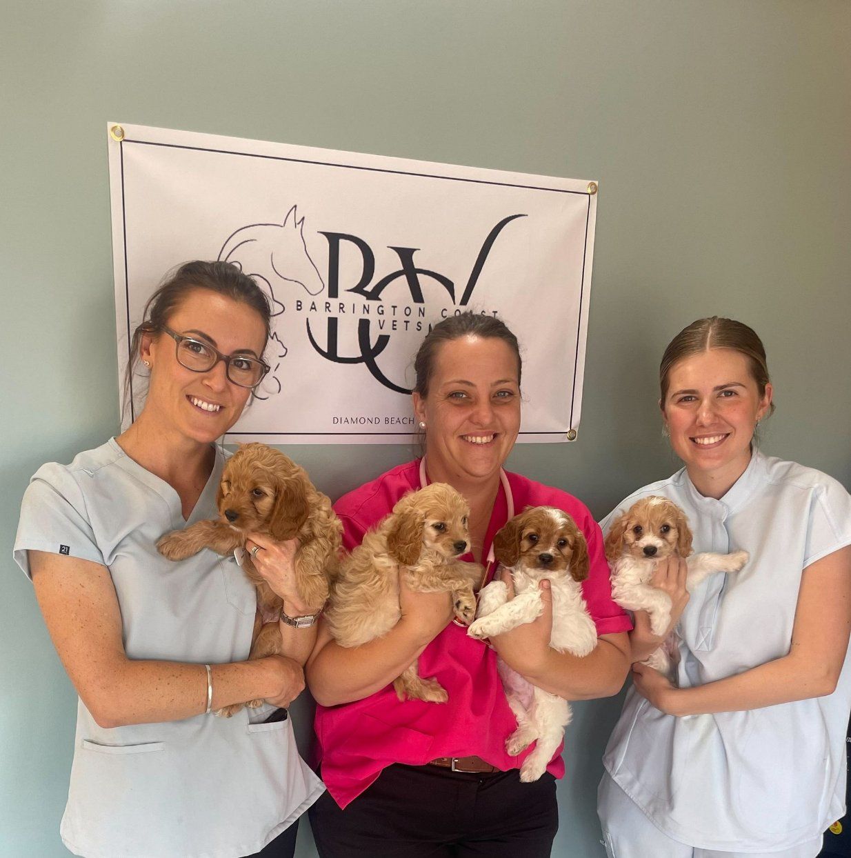 Three Women Are Holding Puppies in Front of A Sign — Diamond Beach Veterinary Clinic In Diamond Beach, NSW