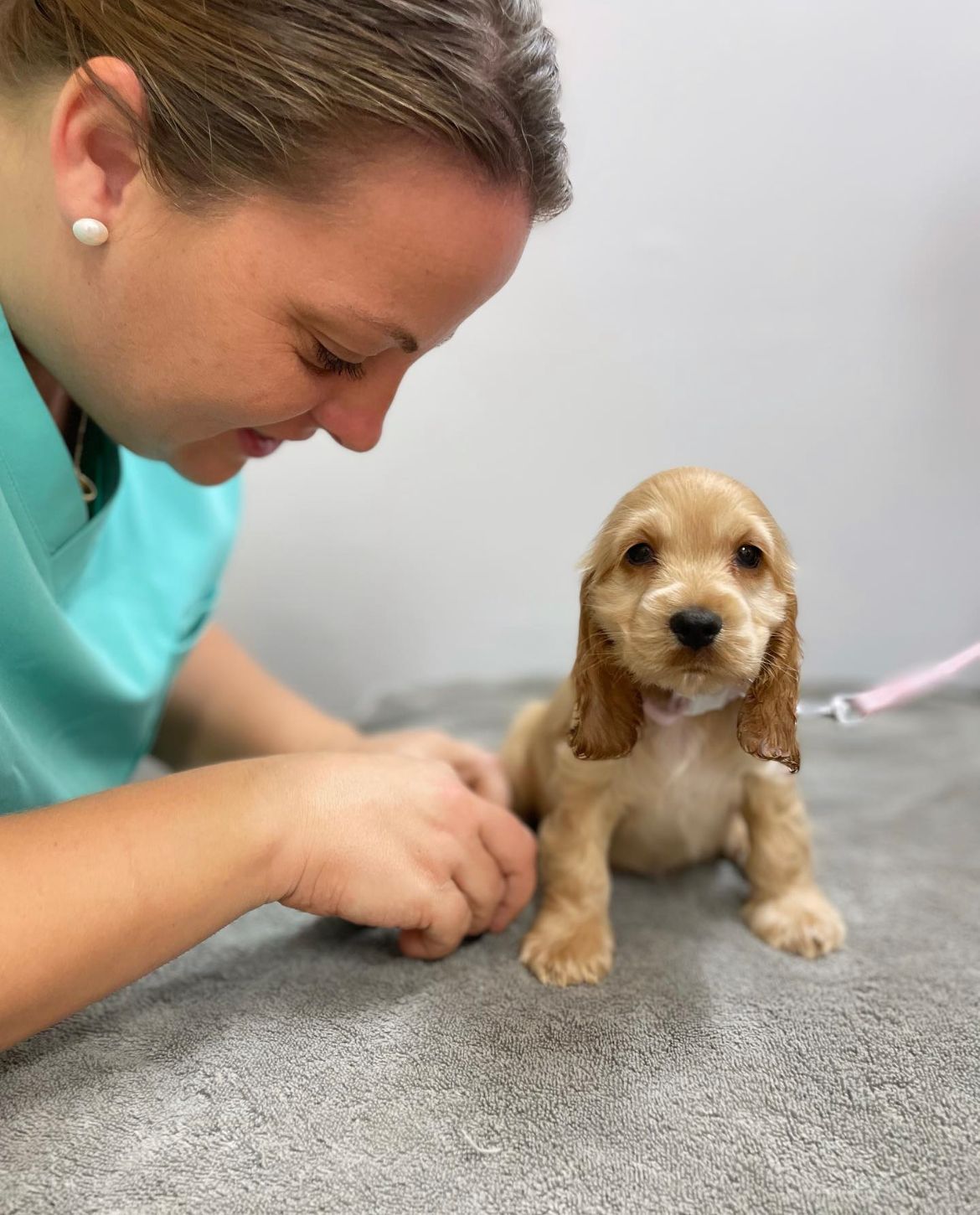 A Person Is Cutting A Cat 's Nails With A Pair Of Scissors — Diamond Beach Veterinary Clinic In Diamond Beach, NSW