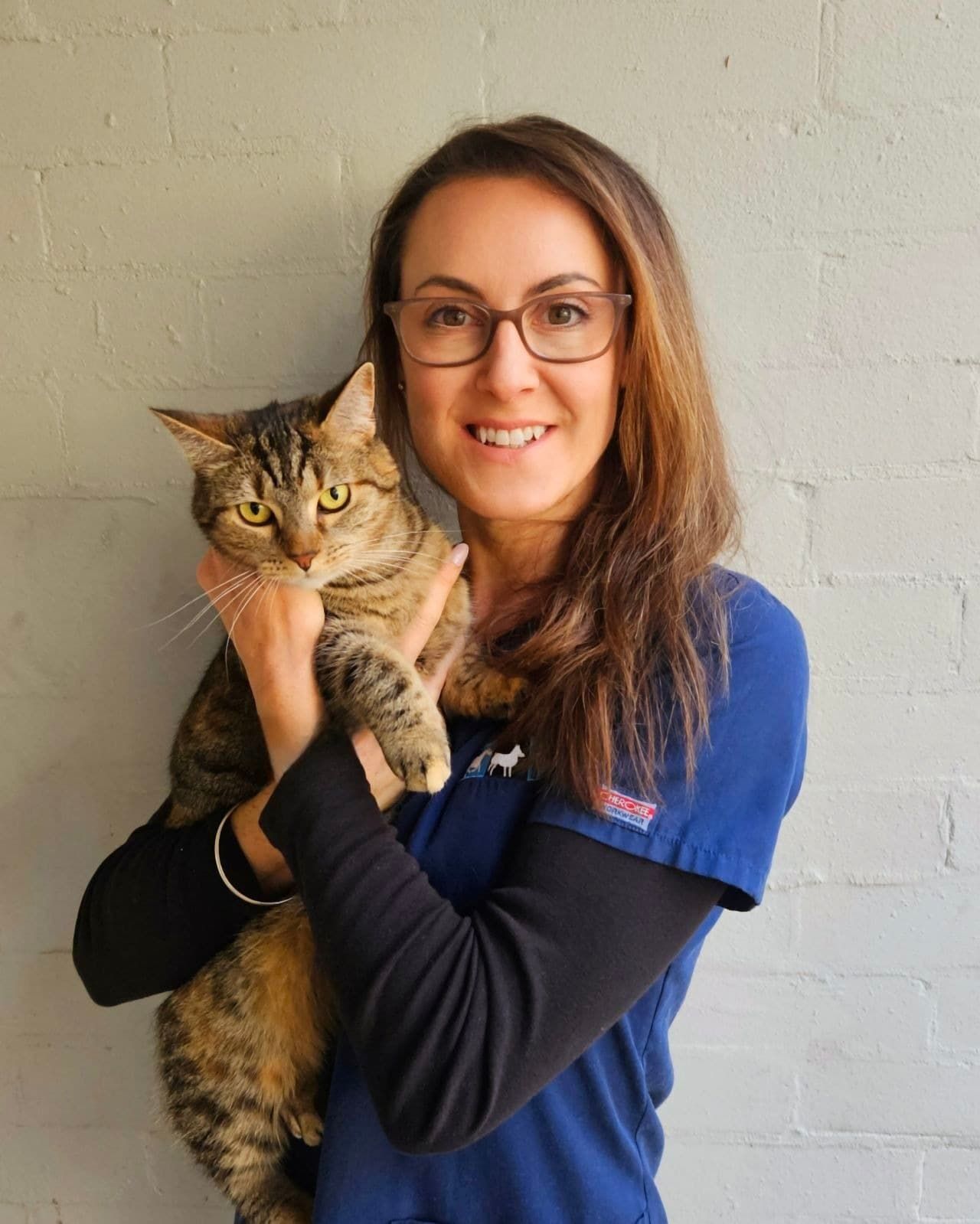 A Woman Is Holding Three Brown Puppies in Her Arms — Diamond Beach Veterinary Clinic In Diamond Beach, NSW