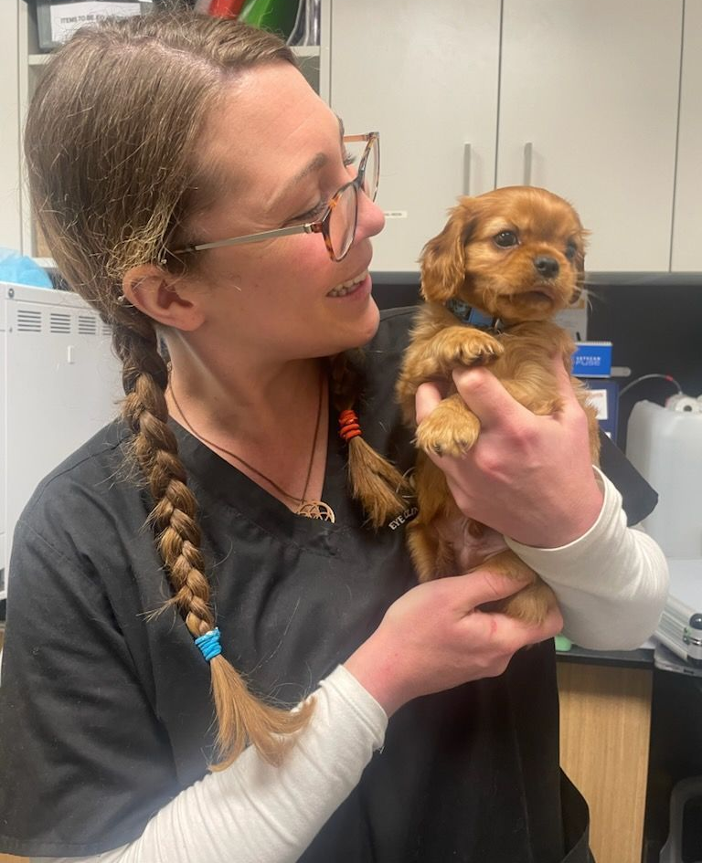 Rebecca Wise — Vet Nurse