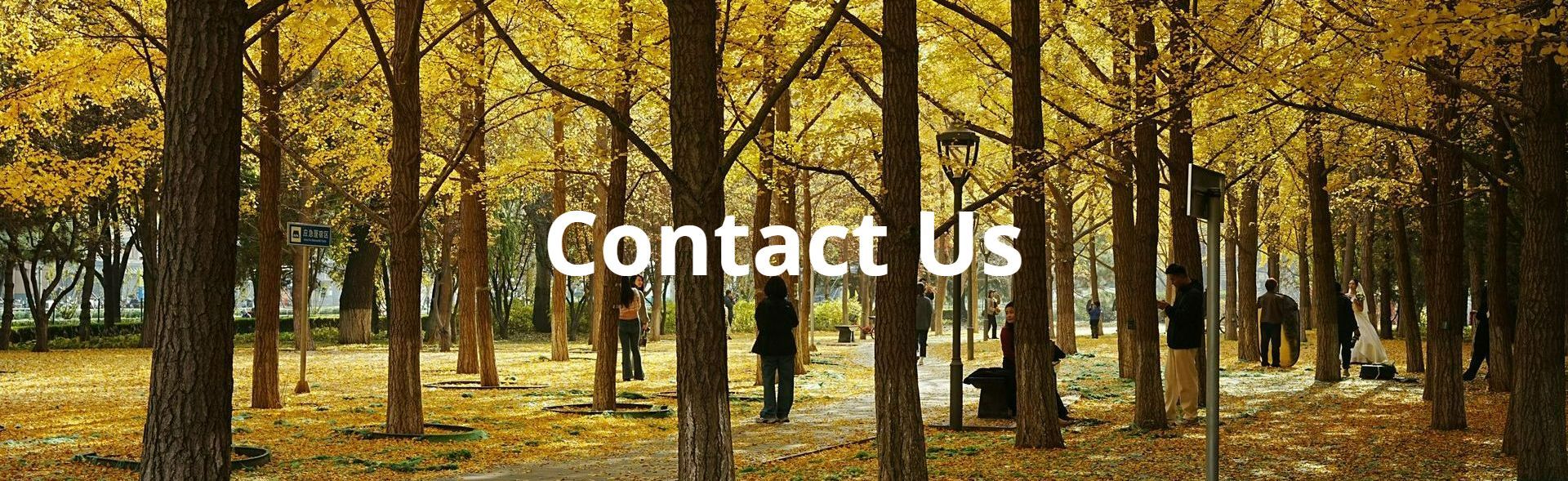 We see you seeking for the truth. Come visit us for answers.