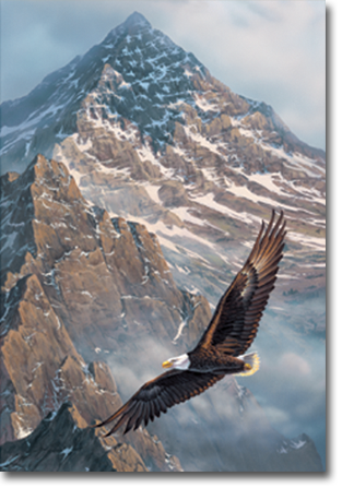 Bald eagle soaring in front of a snow-capped mountain; brown, white, and gray tones.