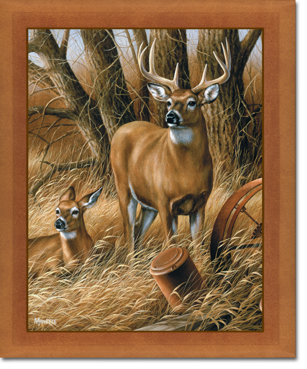 Buck and fawn in autumn field, with old barrel and rusted wheel.