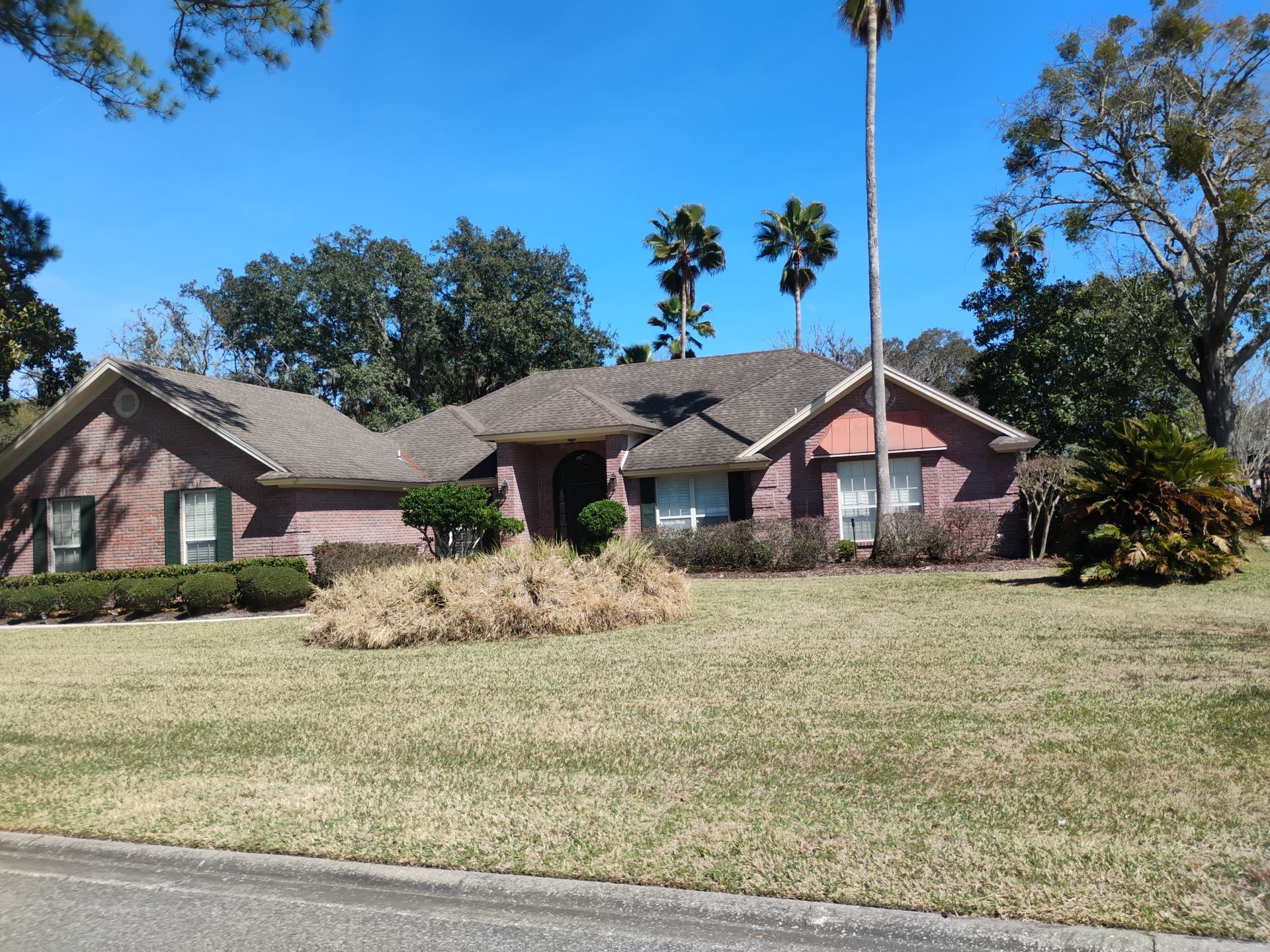 Single-story brick house with a large front lawn and tall palm trees under a blue sky