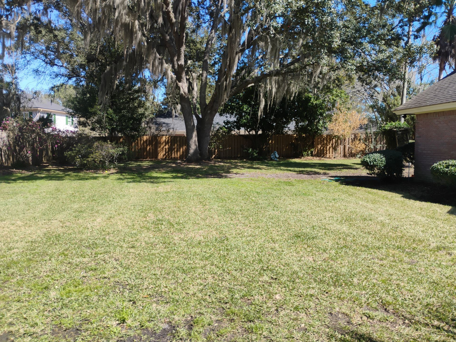 Sunlit backyard with green lawn, large tree, and a brick house at the edge