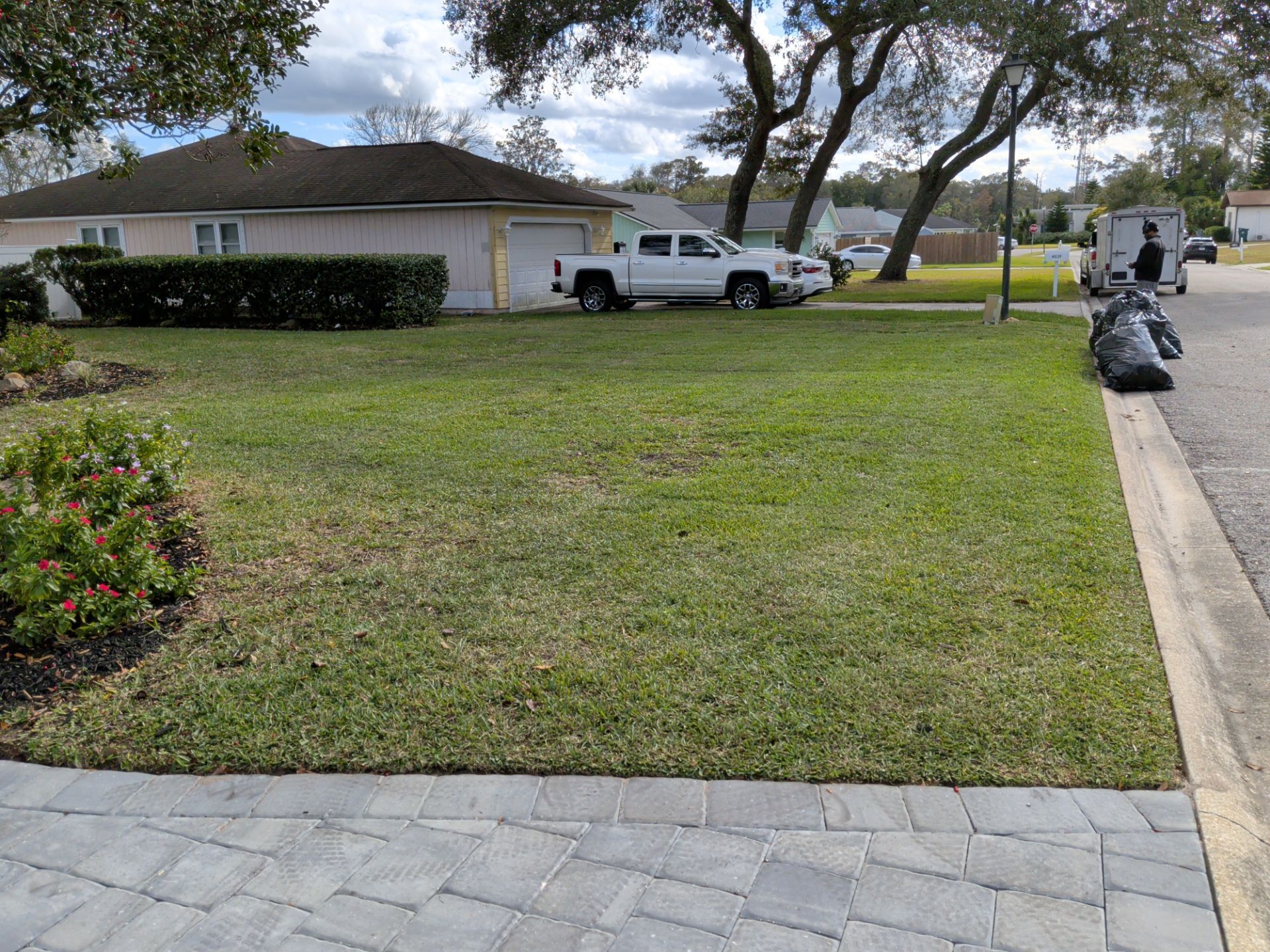 Lawn next to a paved driveway and sidewalk with a house and white truck in the background. Black trash bags are on the grass.