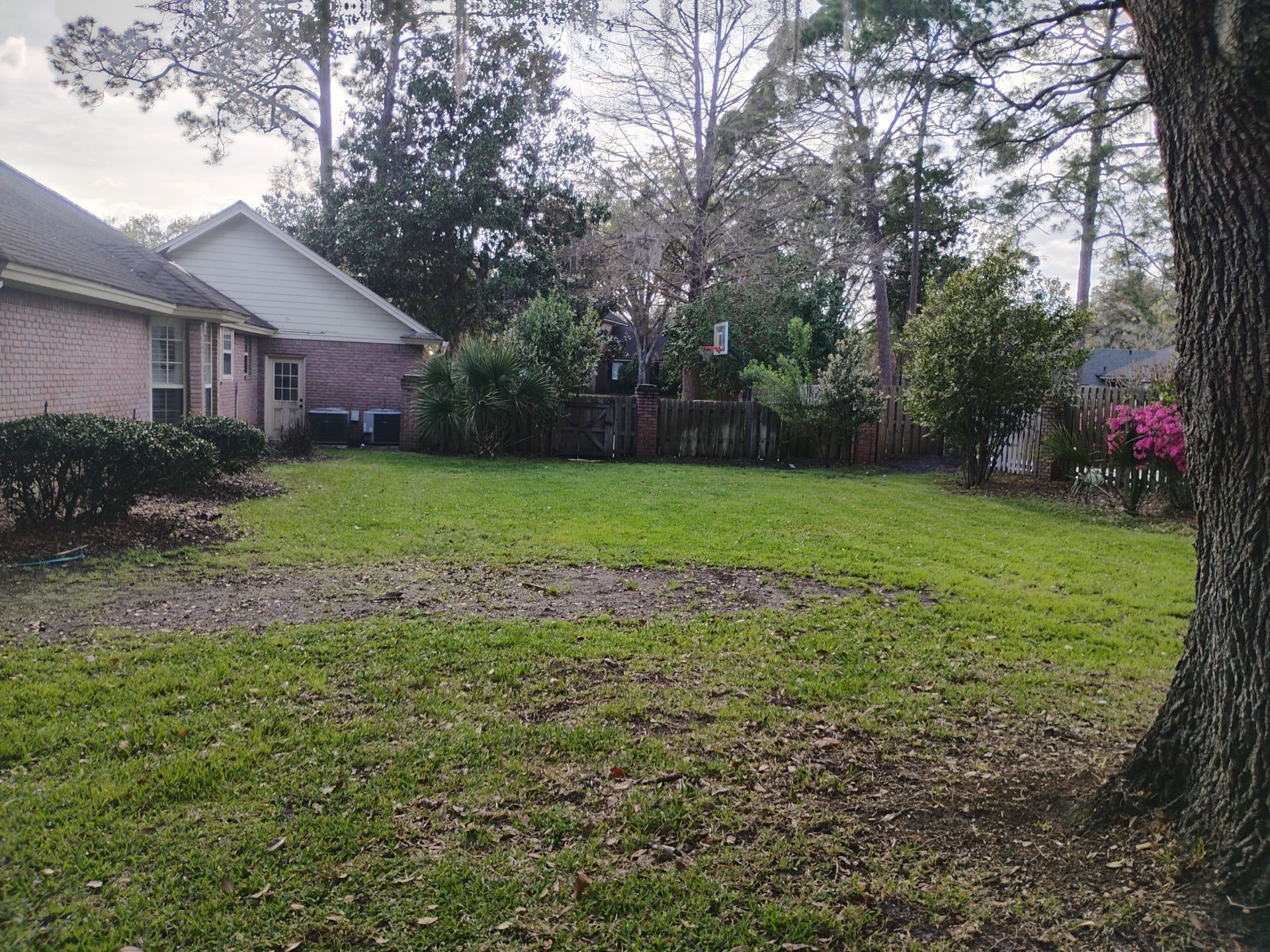 Grassy backyard with a brick house, trees, and a wooden fence on a cloudy day