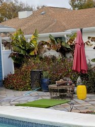 A backyard patio with a pool. Features include plants, a red umbrella, and a blue pool.