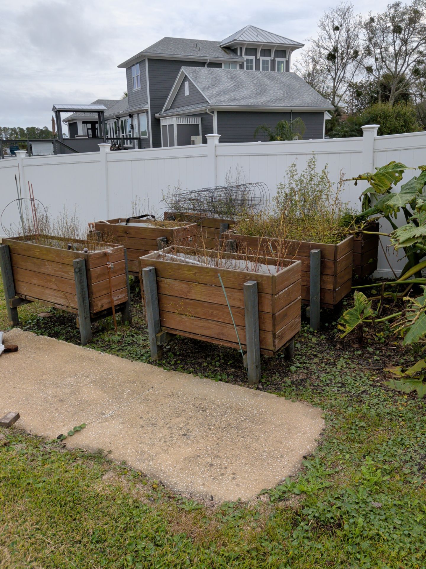 Raised wooden garden beds against a white fence, in a backyard. A large house is visible in the background.