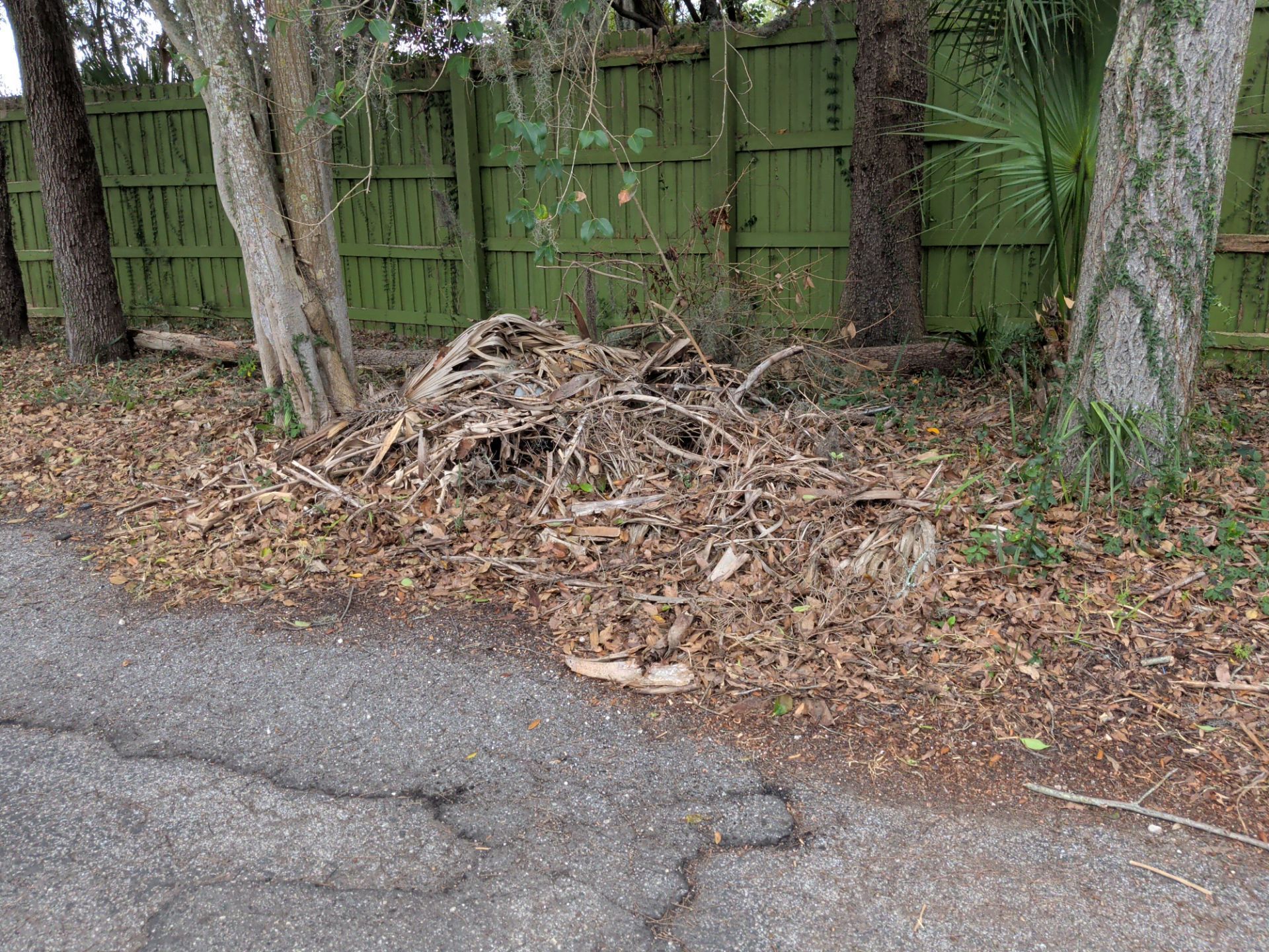 Pile of dry leaves on the side of a cracked road next to a green wooden fence and two trees.