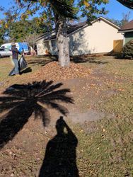 Person raking leaves near a tree in a yard; building in the background; shadow of person taking photo.