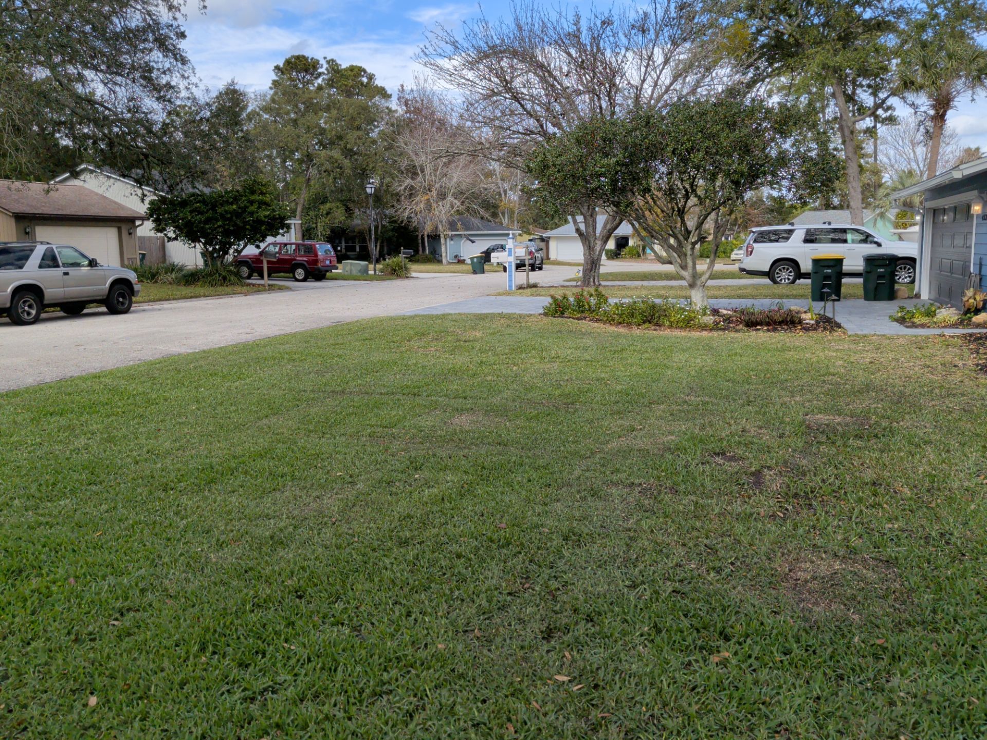Grassy residential street with trees, houses, and parked cars under a partly cloudy sky.