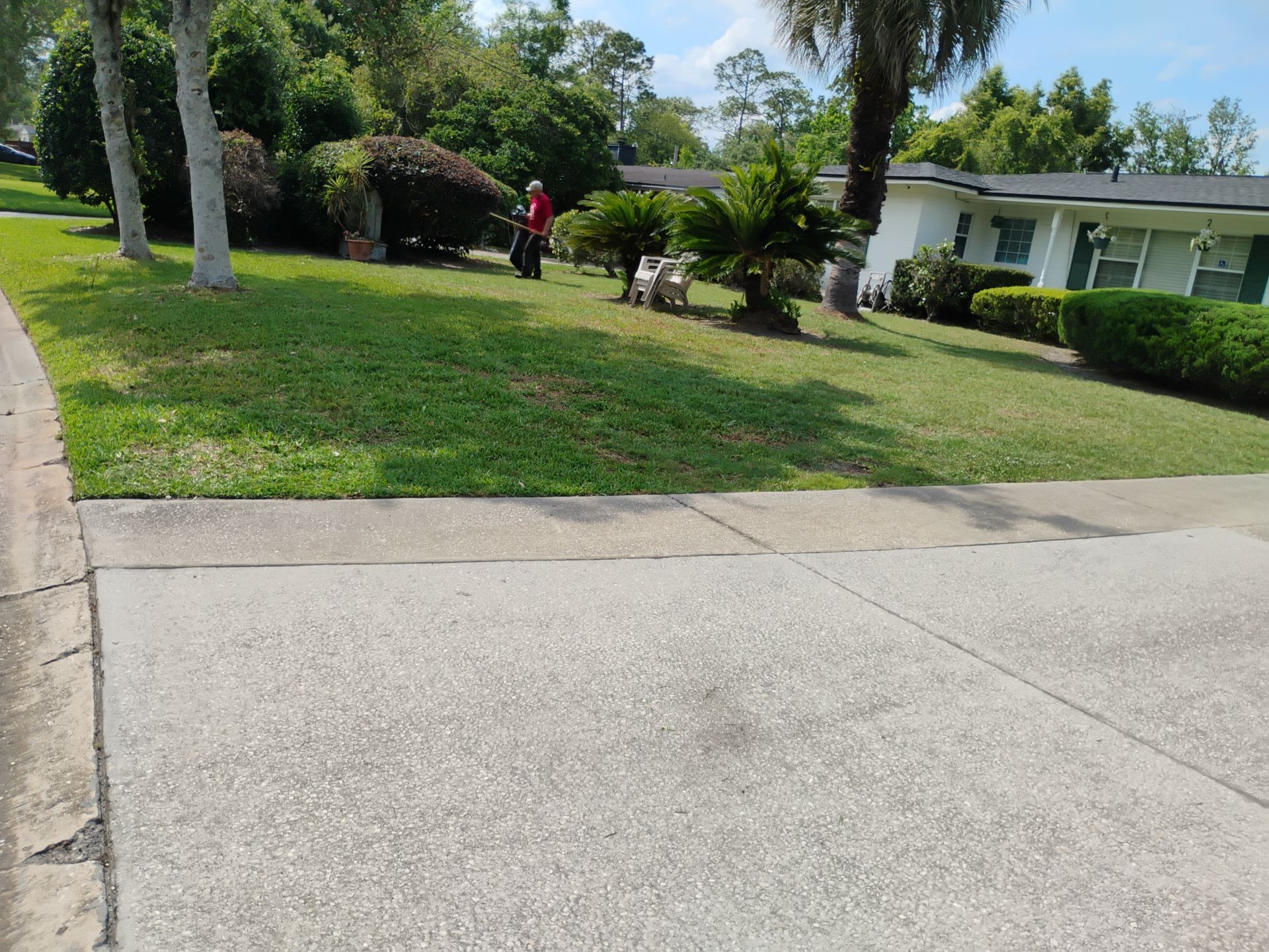 Suburban front yard with trees, bushes, and a person standing near the sidewalk by a house
