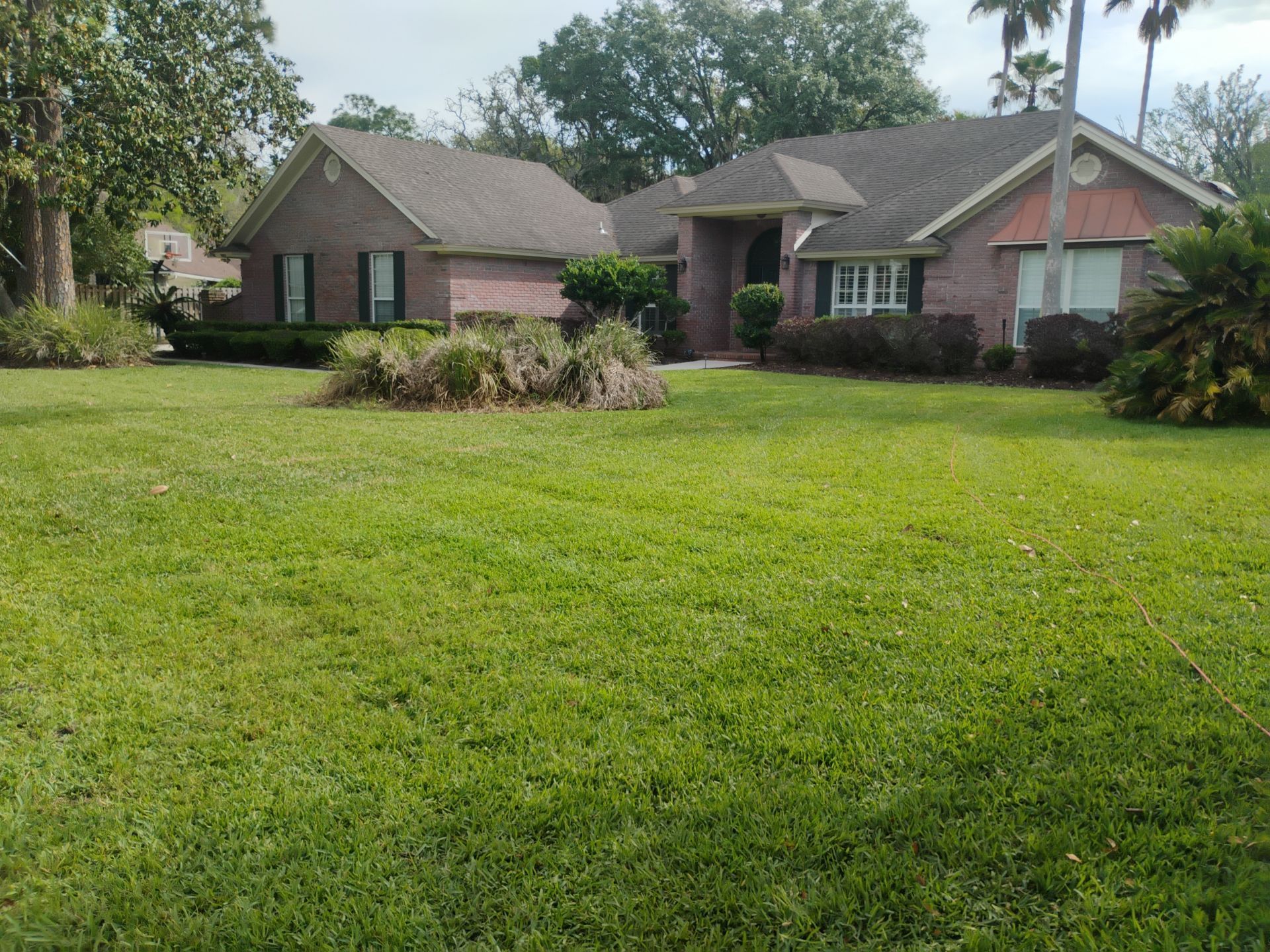 Single-story brick house with a large green lawn and shrubs in a sunny suburban yard