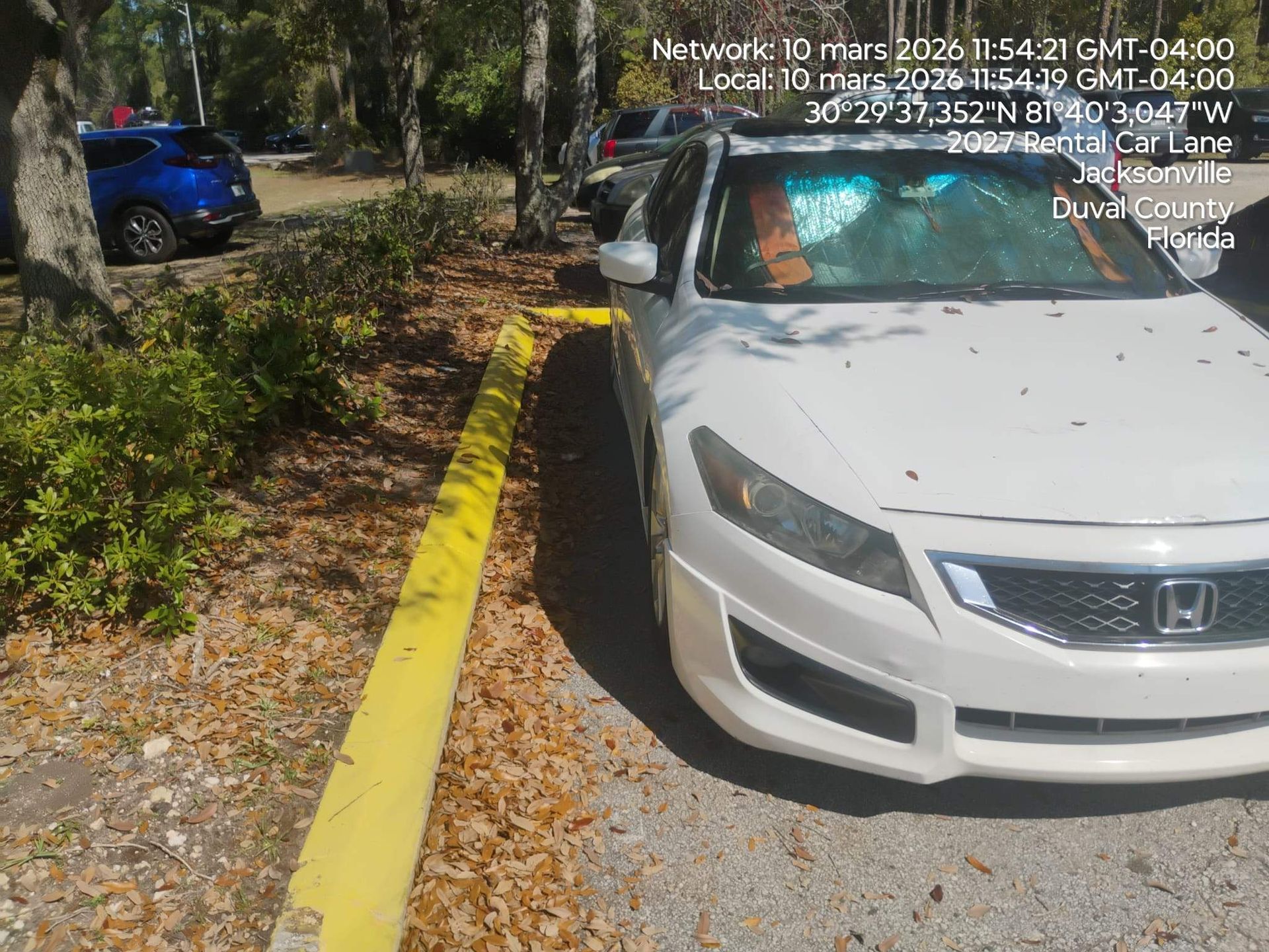 White Honda parked on gravel beside a yellow curb in a wooded area, with a blue SUV in the background