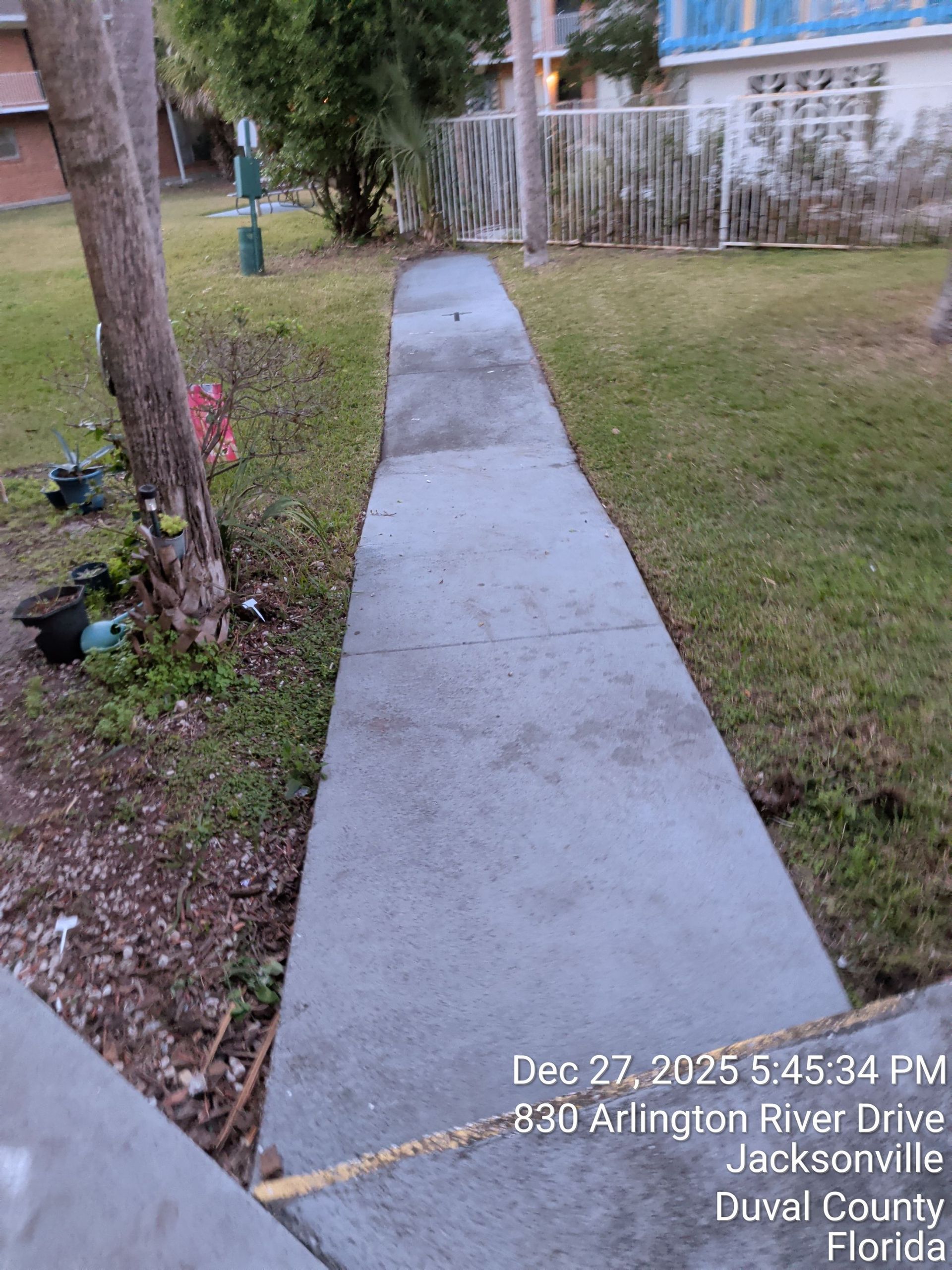 Concrete walkway in a grassy yard, leading past a tree and flower bed toward a fence.