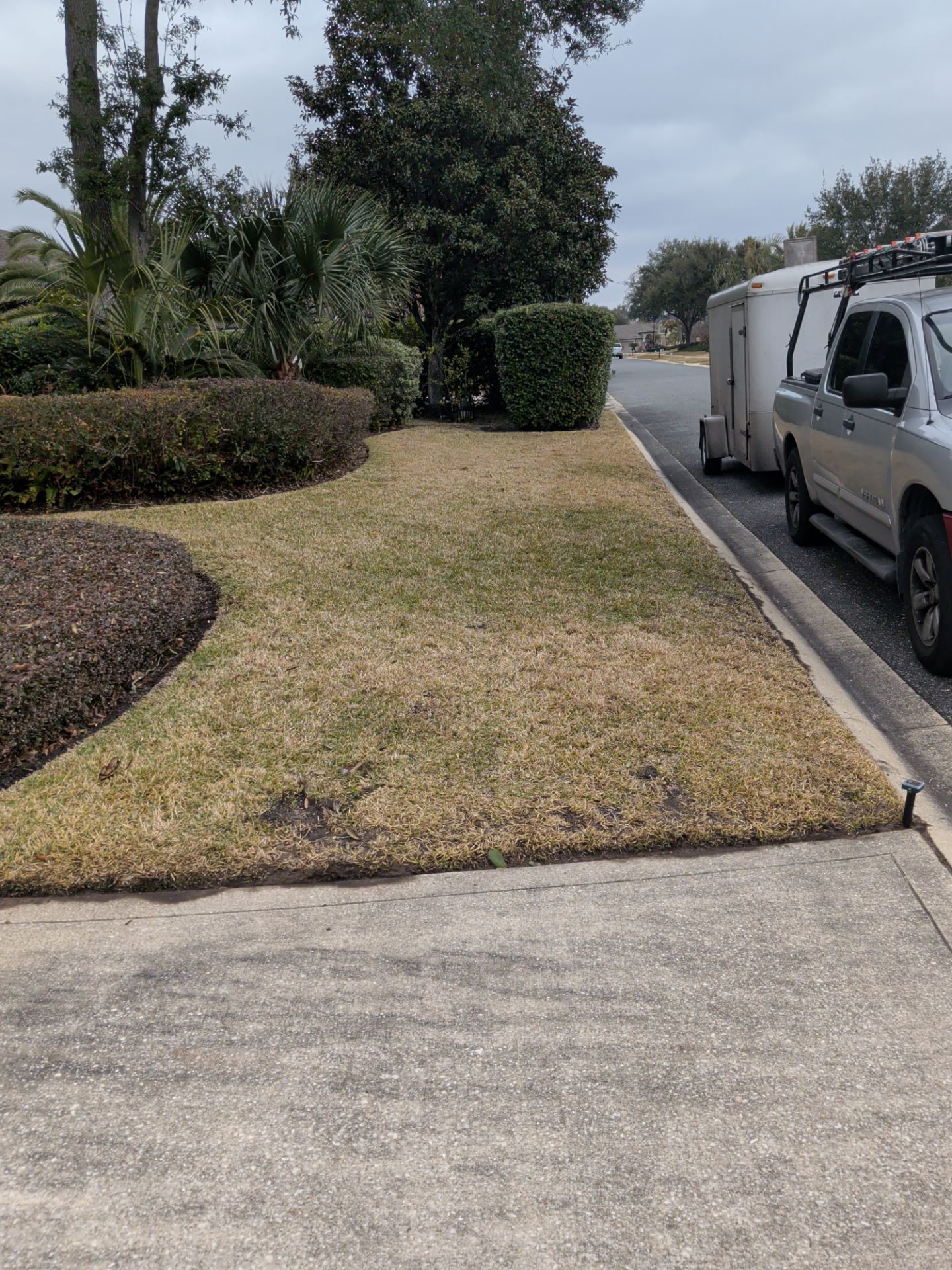Suburban roadside lawn beside a driveway, with a silver van parked along the curb.