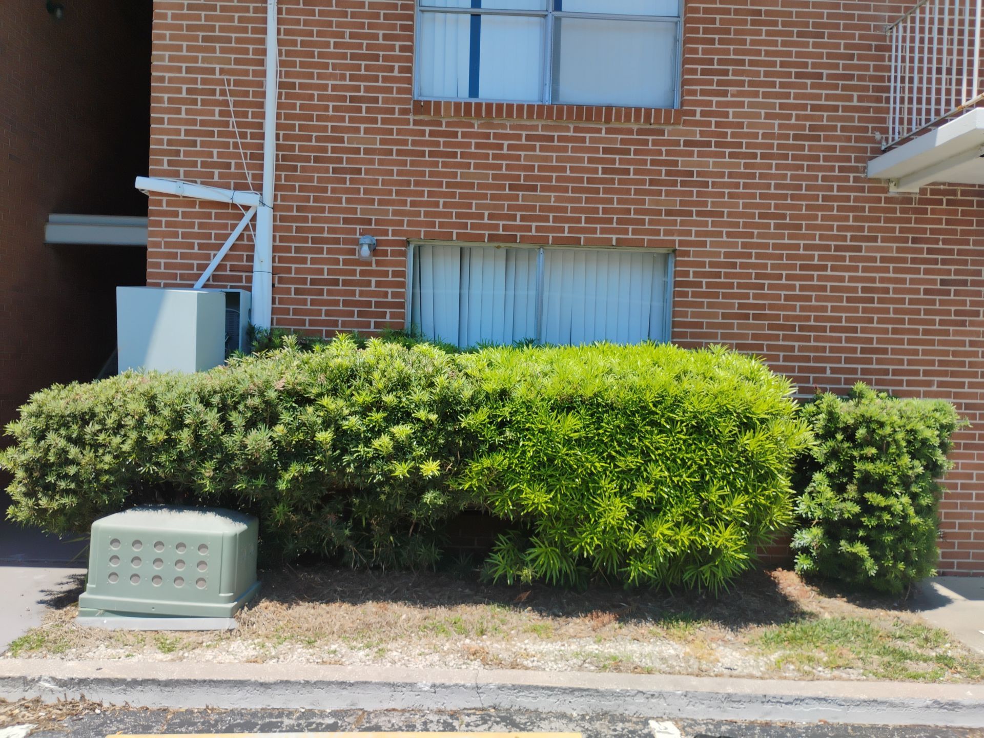 Brick building with blue-curtained windows and a trimmed green hedge beside a utility box