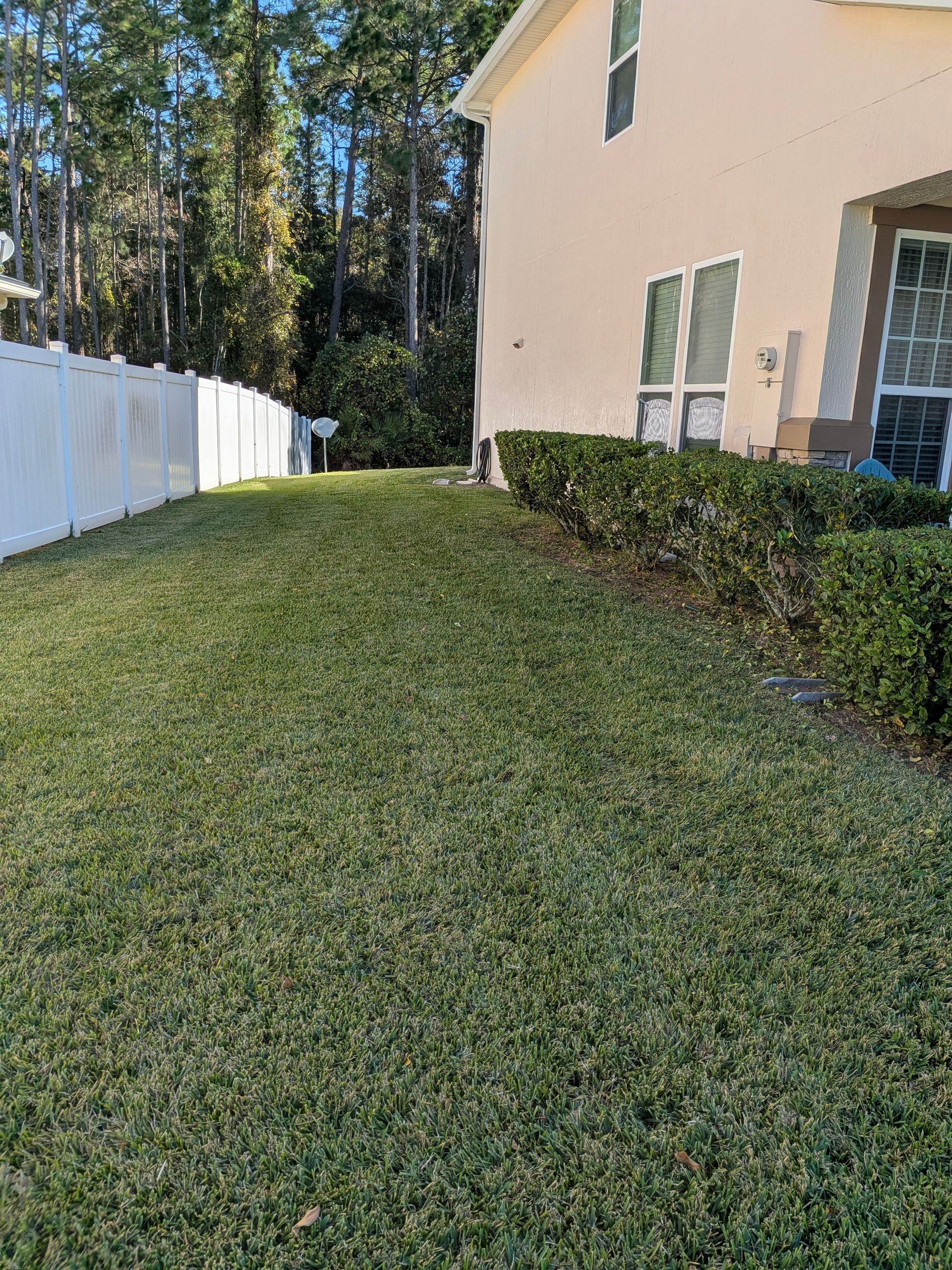 Side yard with green grass, white fence, shrubs, and a beige house in sunlight.