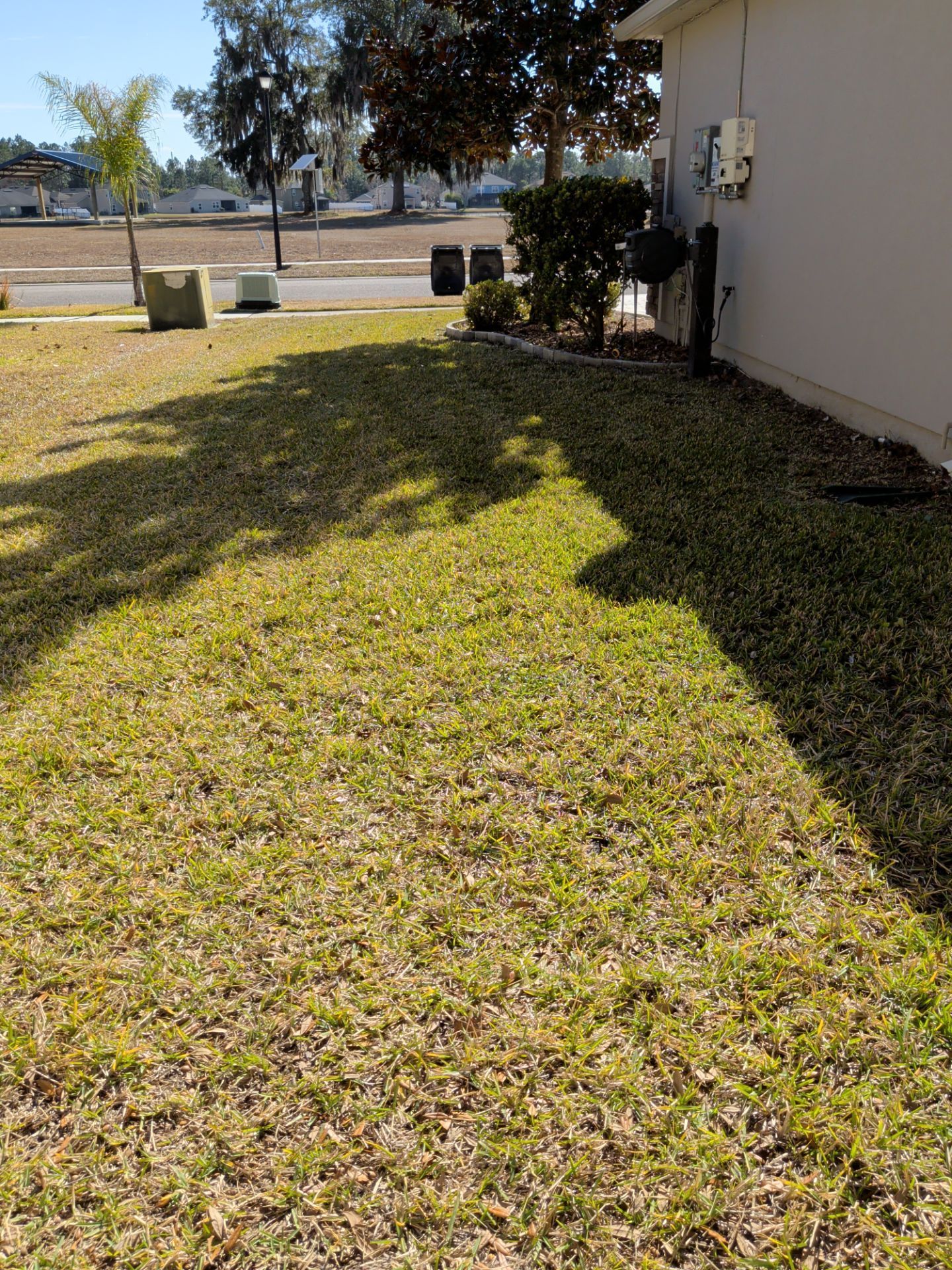 Lawn covered in brown leaves, with shadows from trees, next to a beige building, on a sunny day.