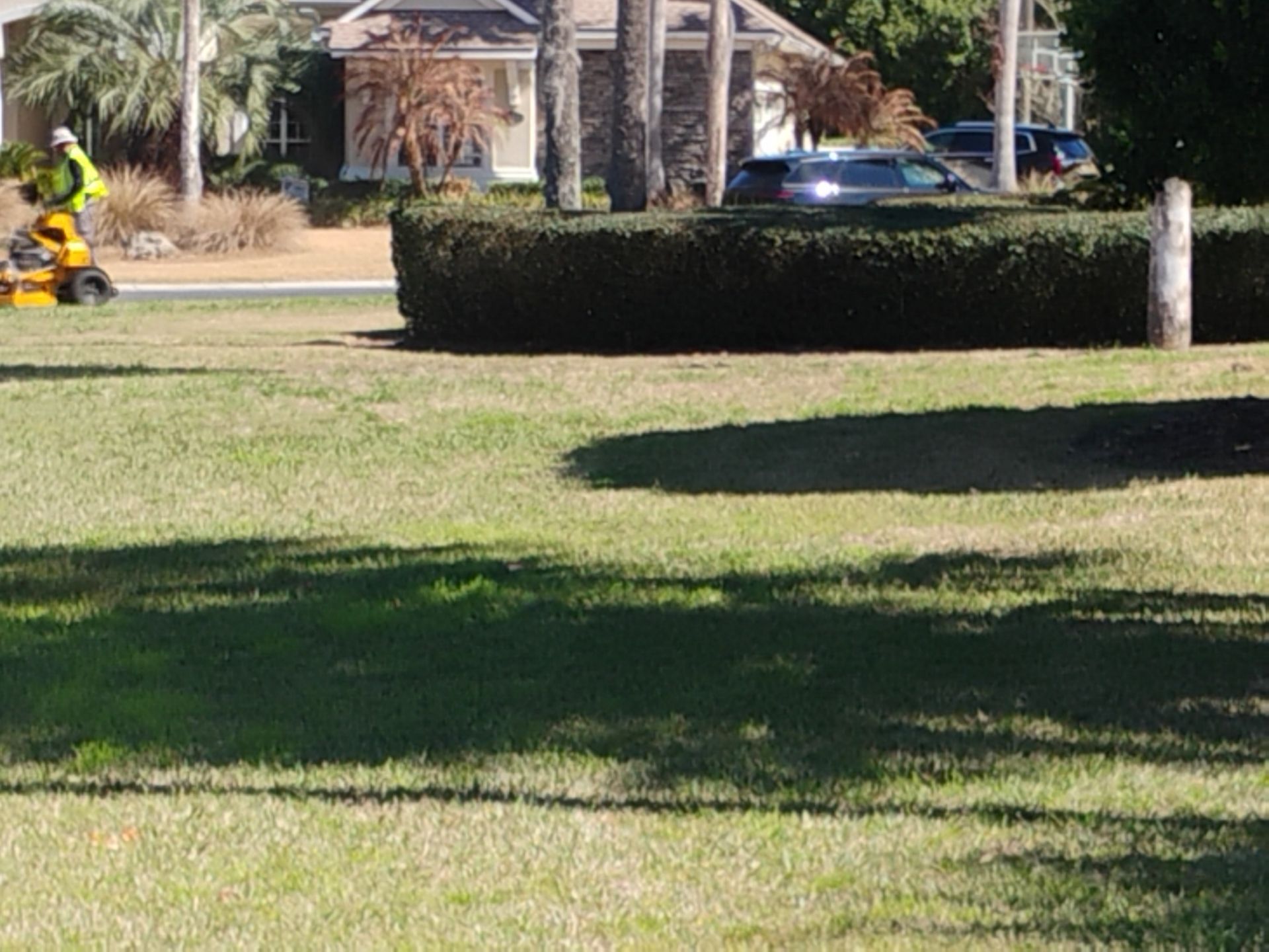 Park with trimmed hedges, grass, palm trees, and a small yellow ride-on mower at left.