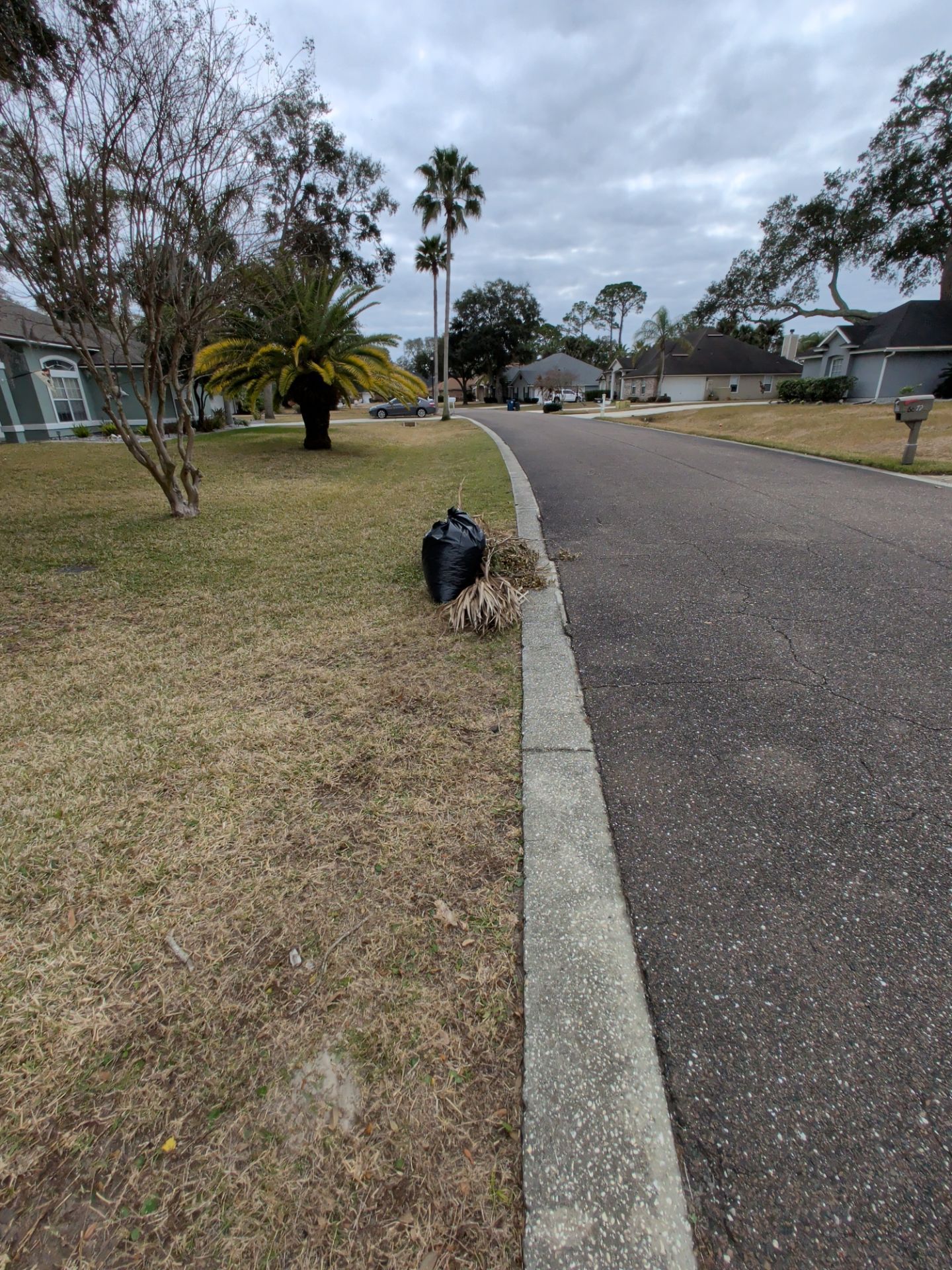 Trash bag on a curb beside a quiet suburban street under cloudy skies