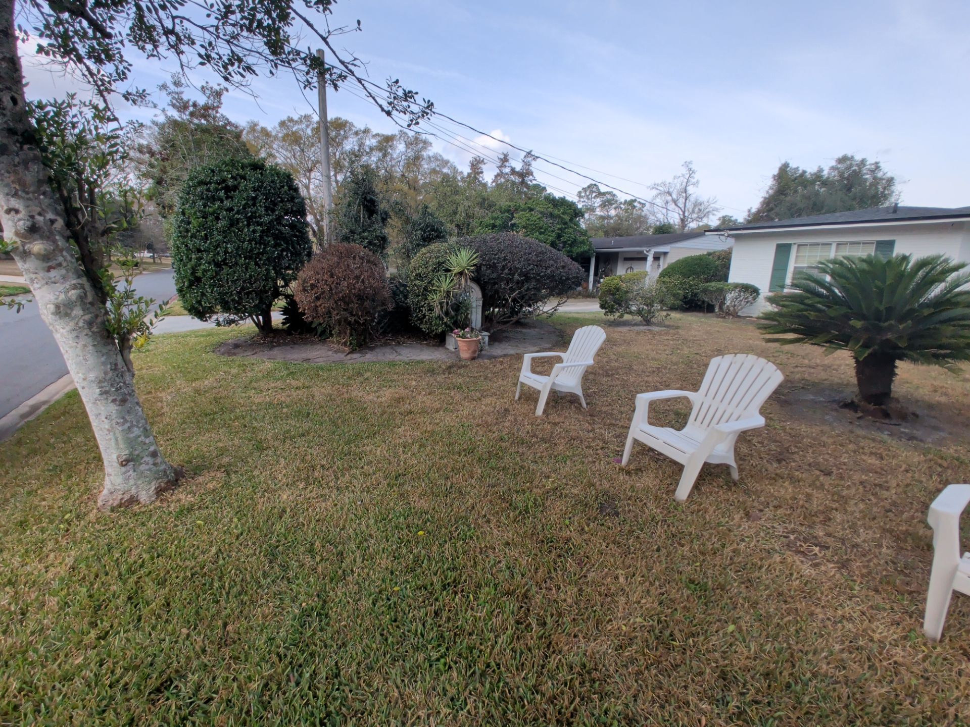 Front yard with grass, shrubs, a palm, and white lawn chairs beside a house