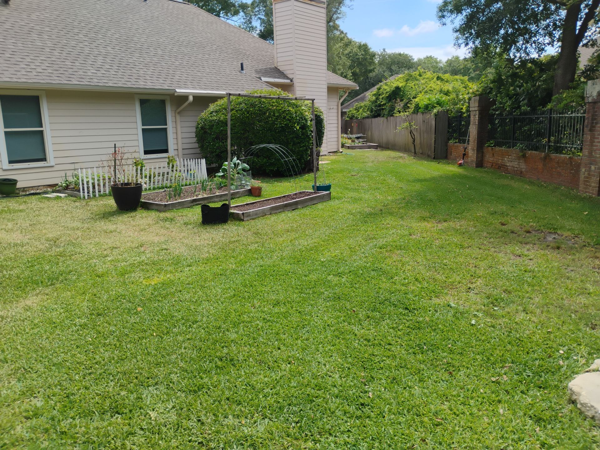 Backyard lawn beside a house, with a brick chimney, raised planter, and wooden fence.
