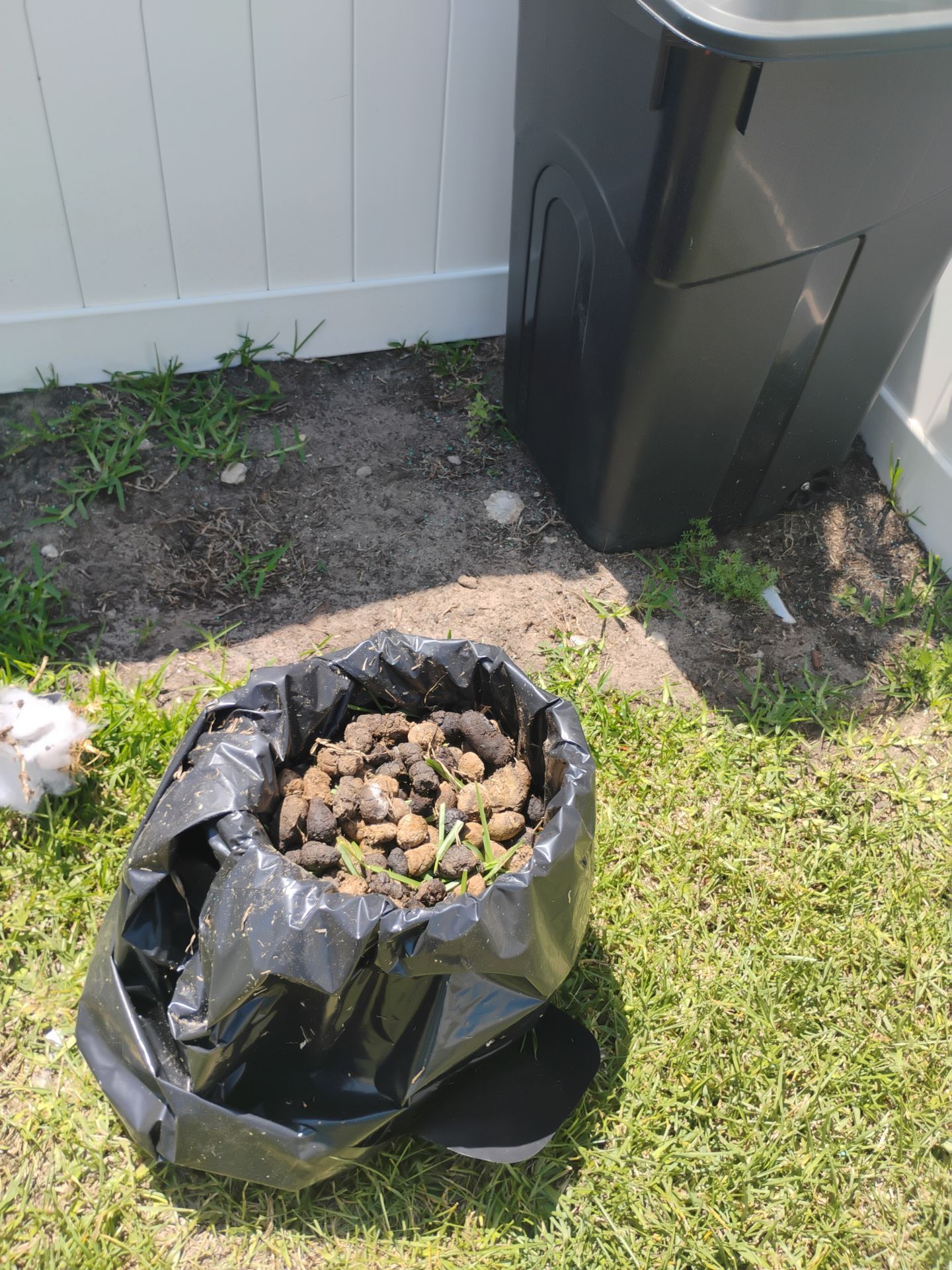 Black trash bag full of plant clippings on grass beside a fence and bin.