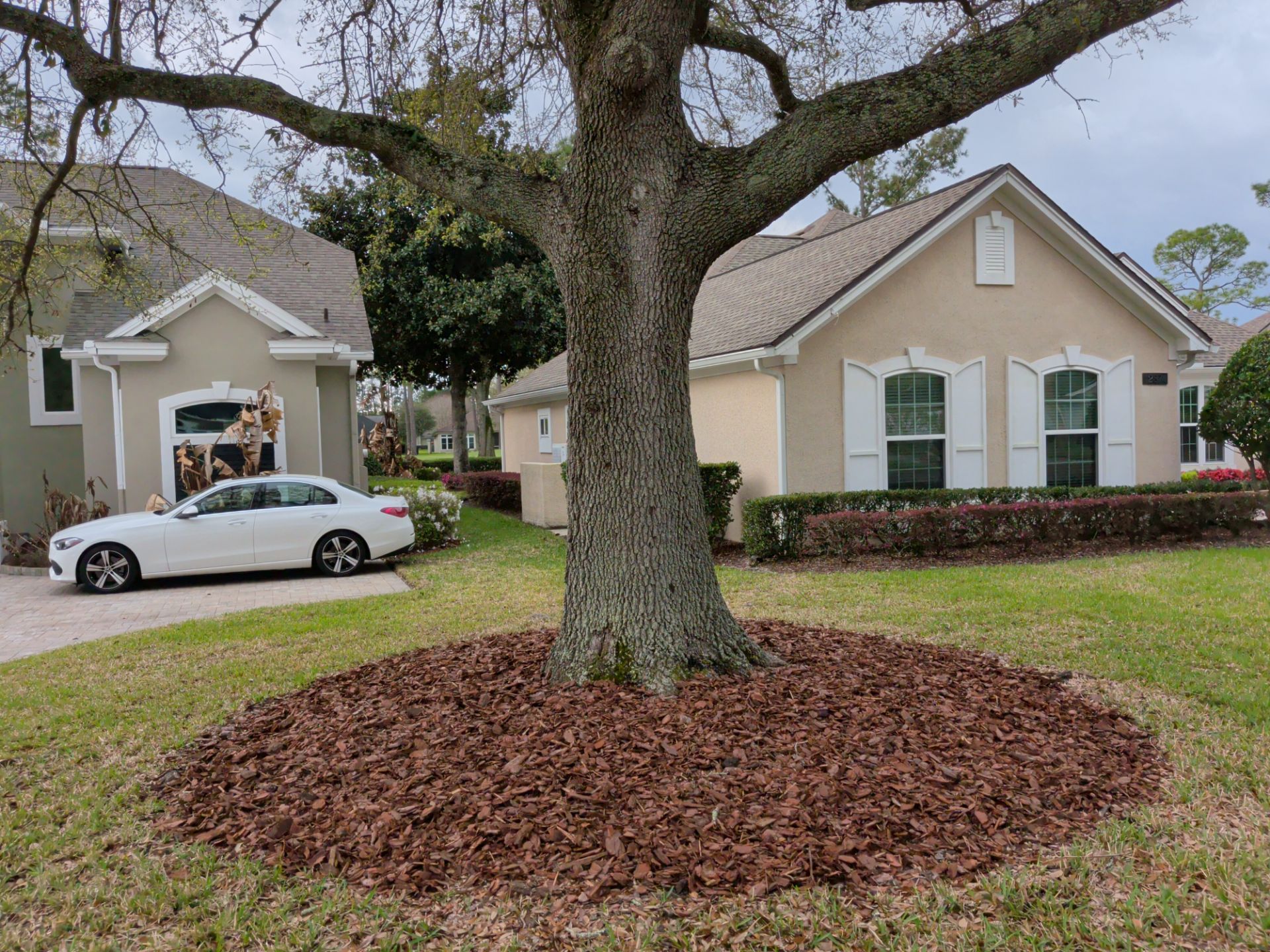 Suburban house with a large tree and mulch ring in the front yard, with a car parked in the driveway