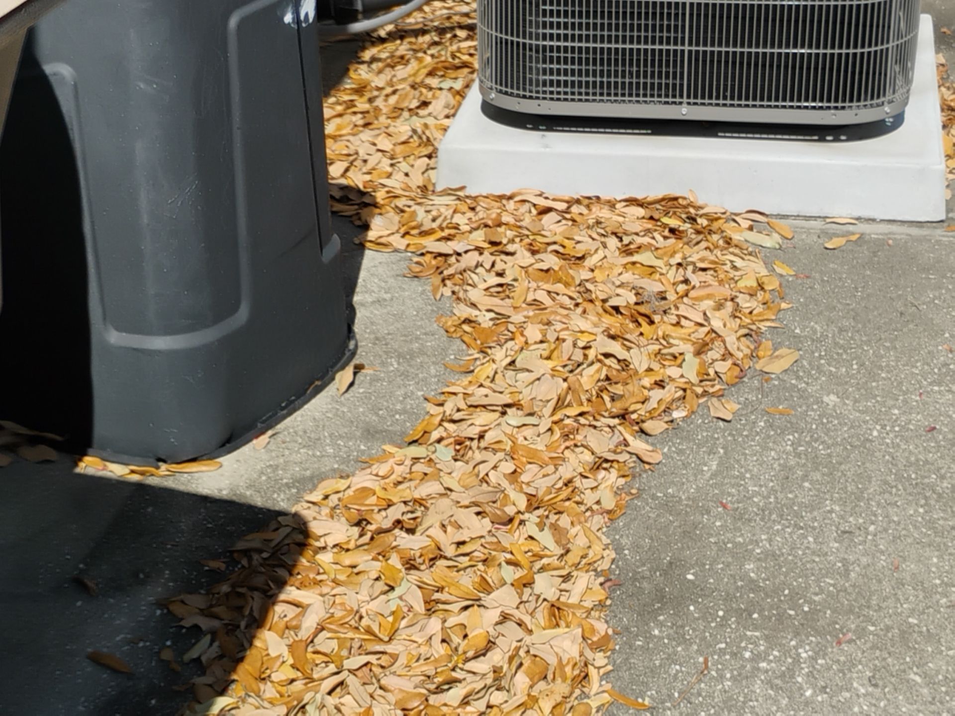 Pile of dry leaves scattered across a concrete path beside outdoor HVAC units.