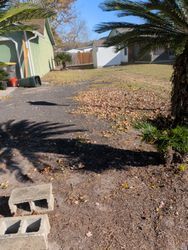 Yard with leaves, palm tree shadow, cinder blocks, driveway, green and white houses, blue sky.