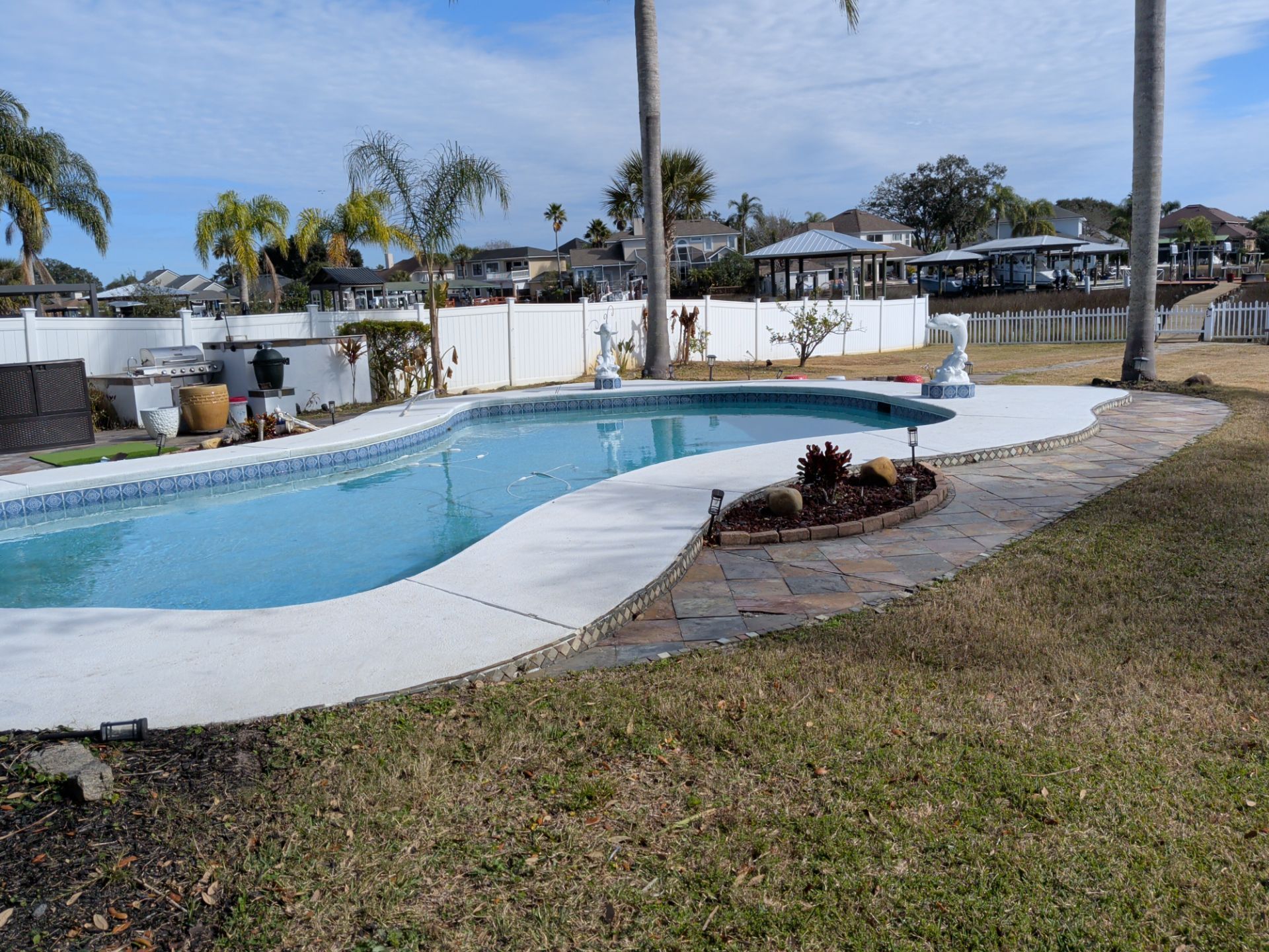 Backyard swimming pool with curved deck, palm trees, and grassy lawn on a sunny day