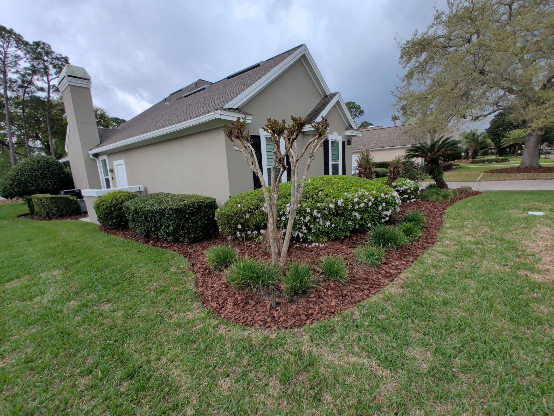Suburban house with manicured shrubs and a young tree in a front yard