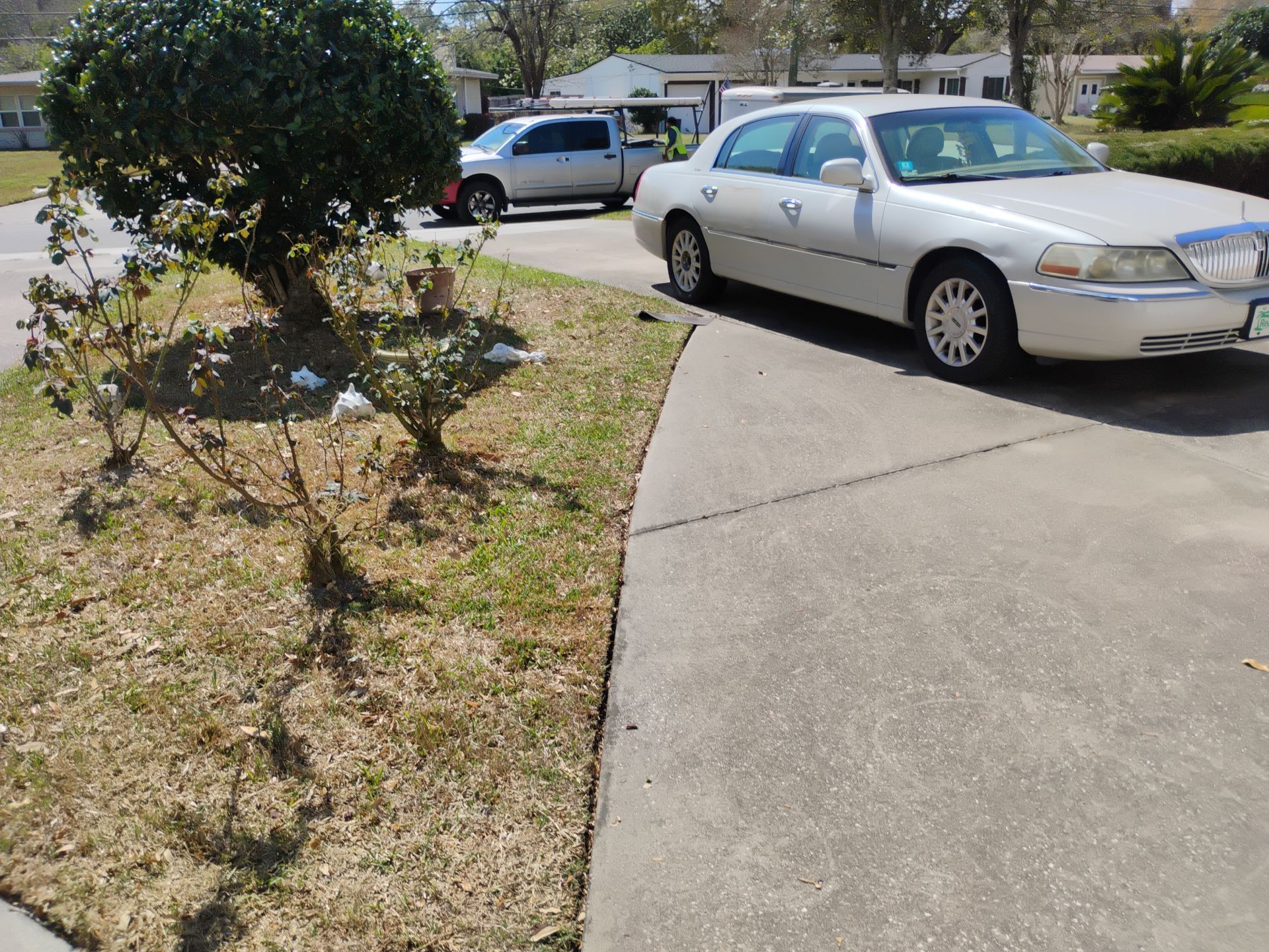Parked cars beside a driveway and sidewalk, with a small tree and dry lawn in the foreground.