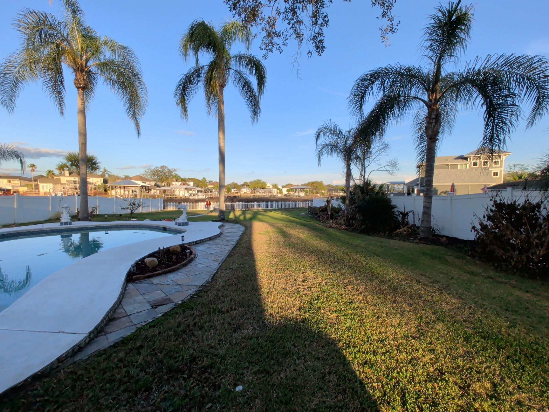 Backyard pool beside green lawn and palm trees at sunset