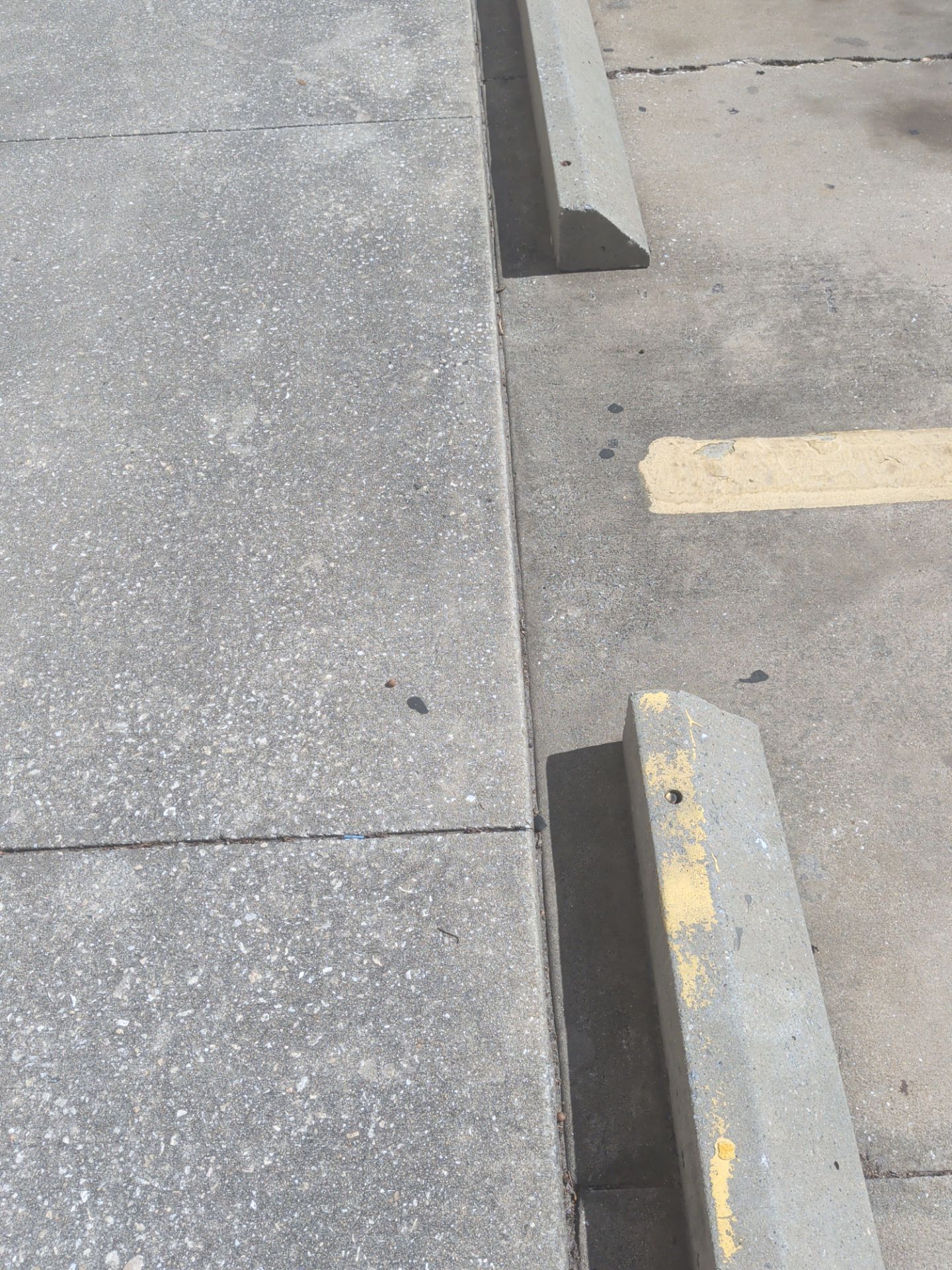 Sidewalk with concrete parking stops and a yellow painted line near the curb.
