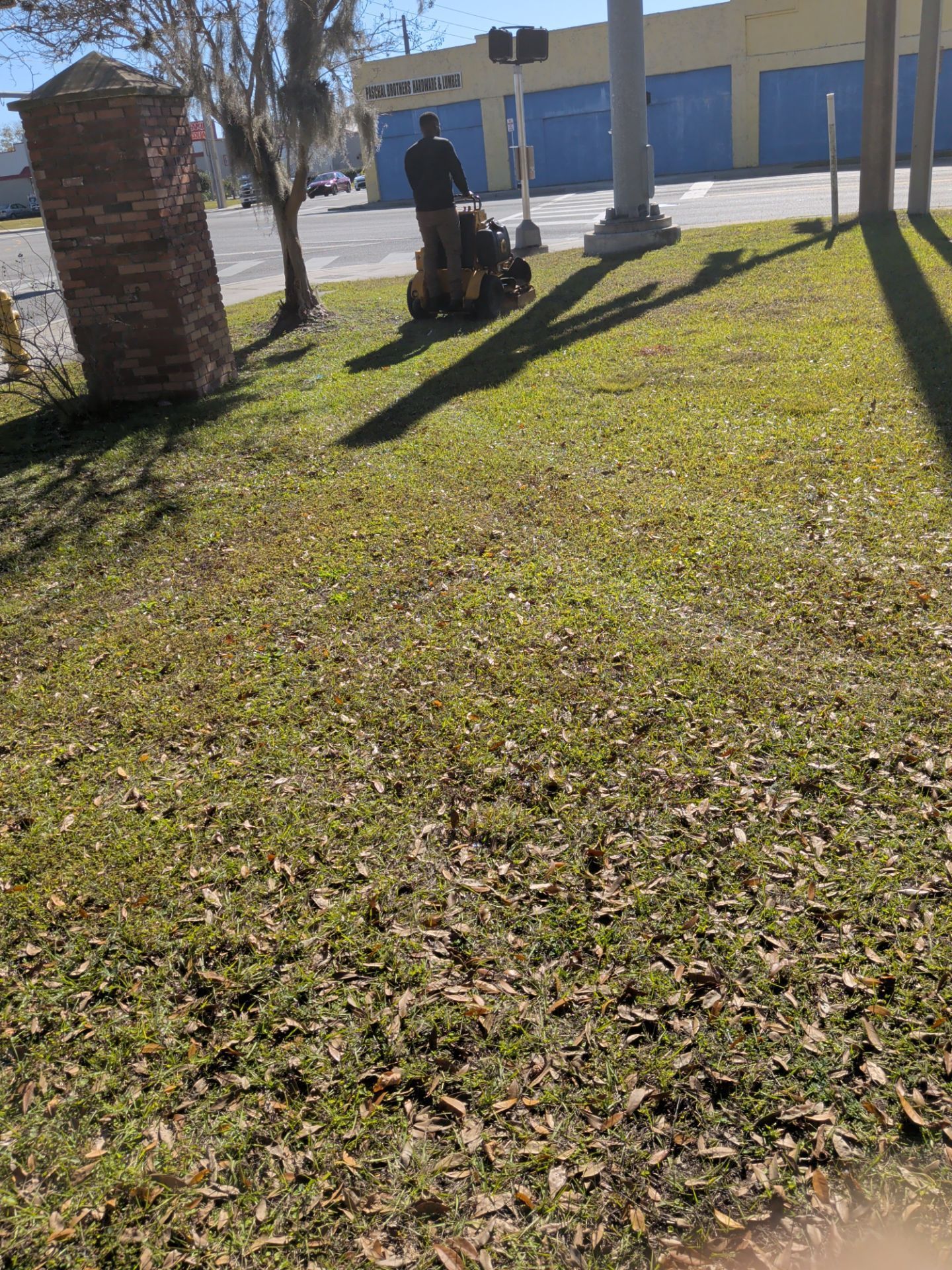 Person standing beside a tree stump in a grassy cemetery near gravestones and a brick pillar.