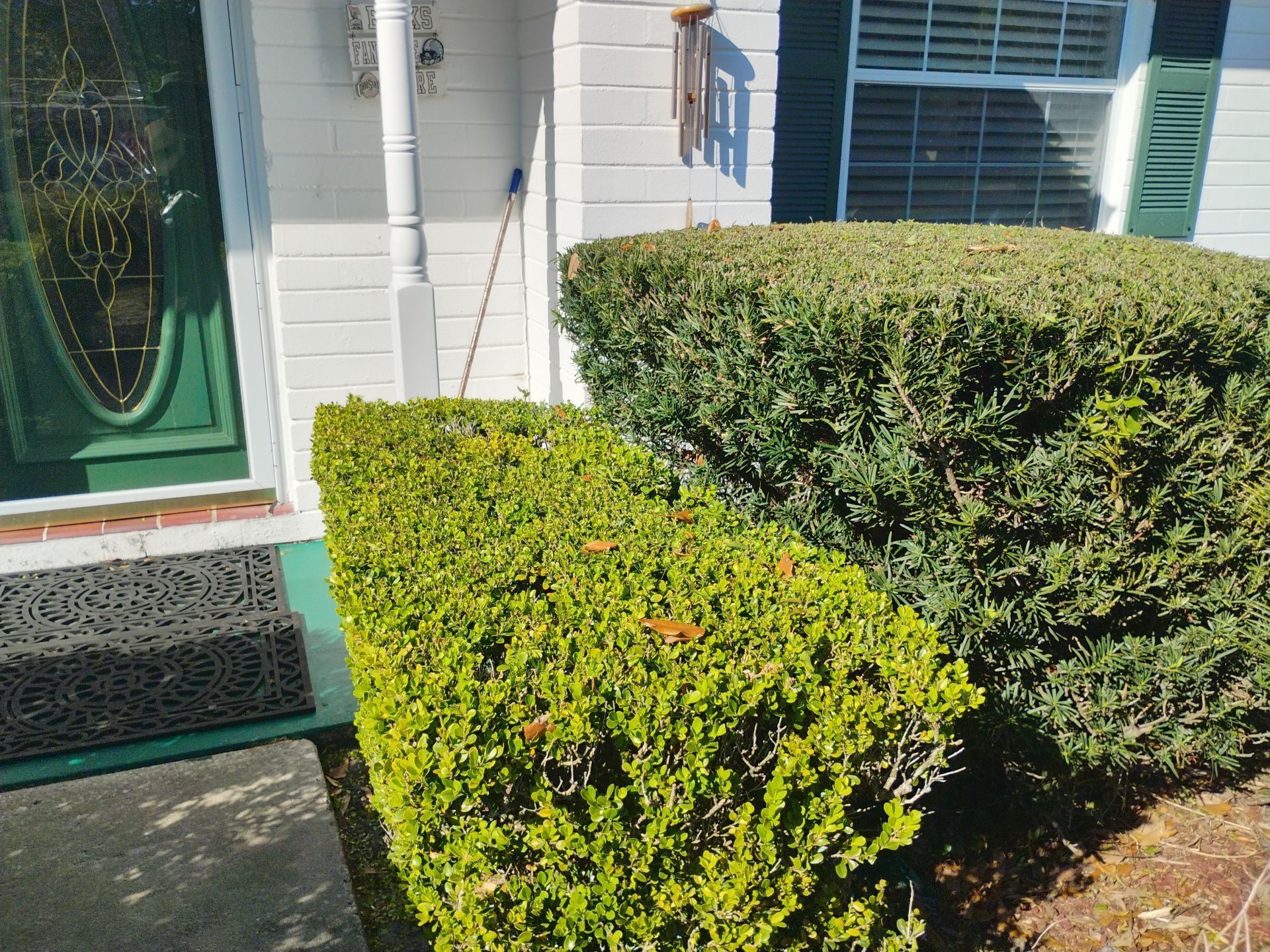 Front porch with green hedges beside a white house and green door